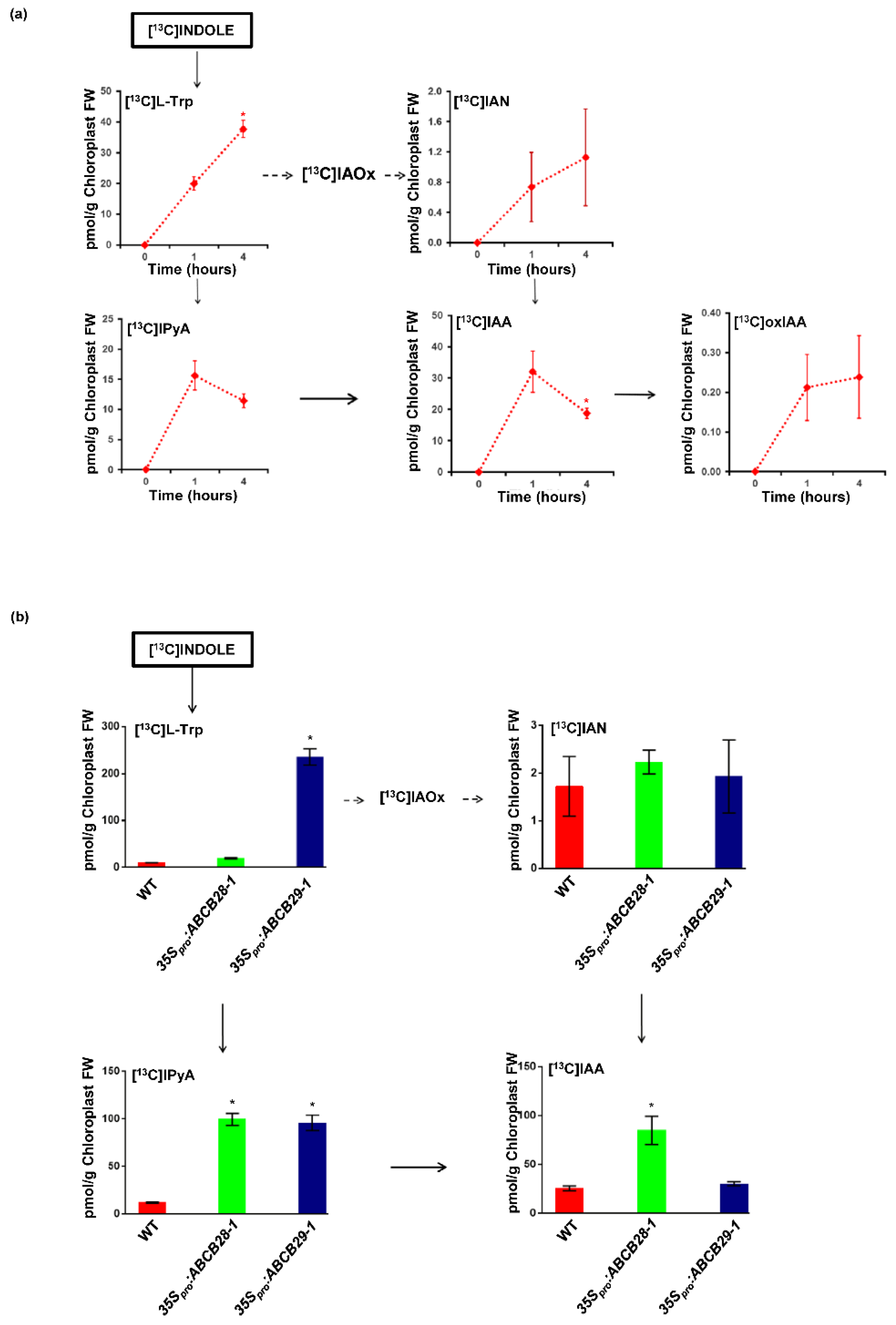 Plants 13 00007 g004