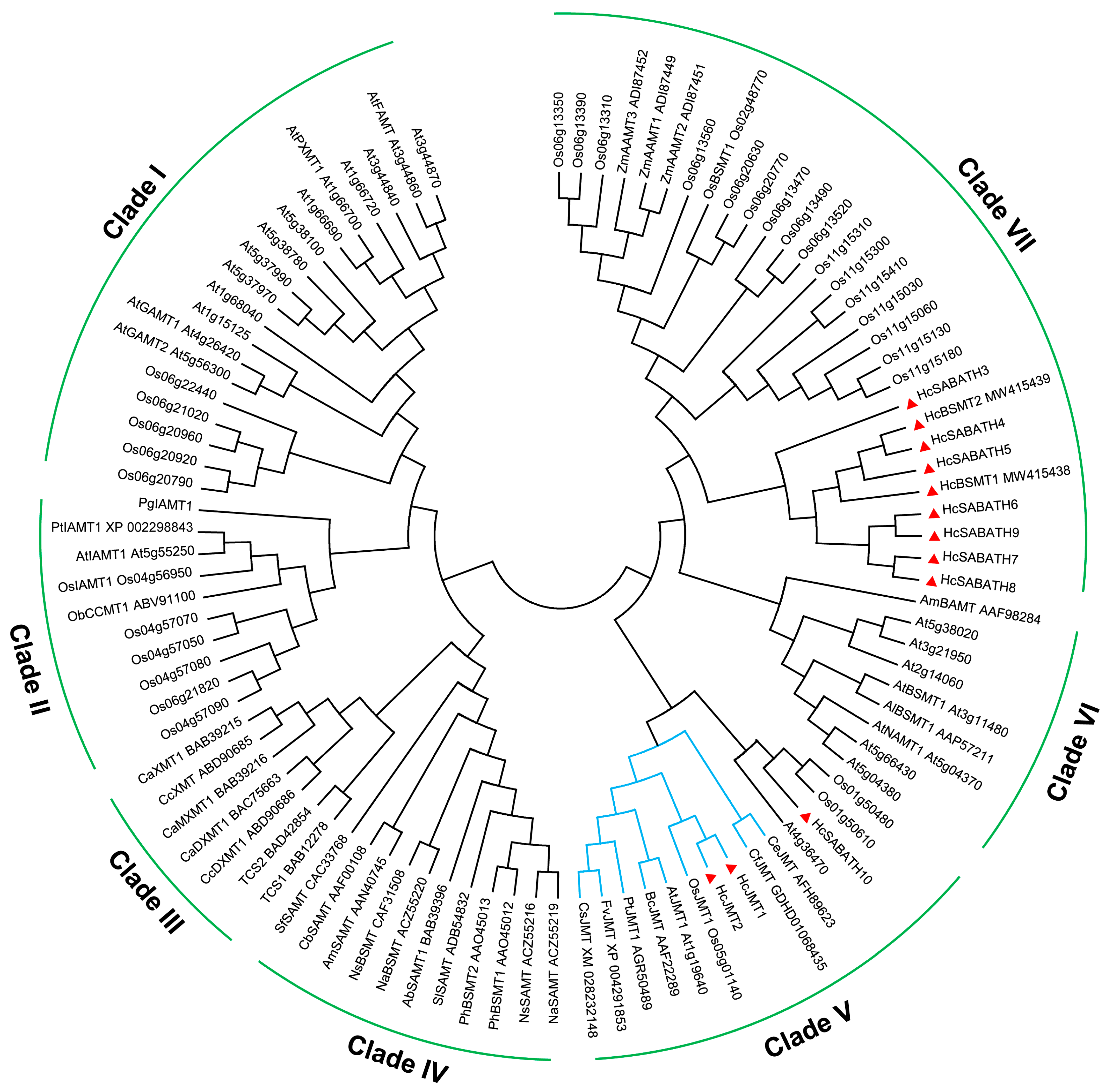Plants 13 00008 g002
