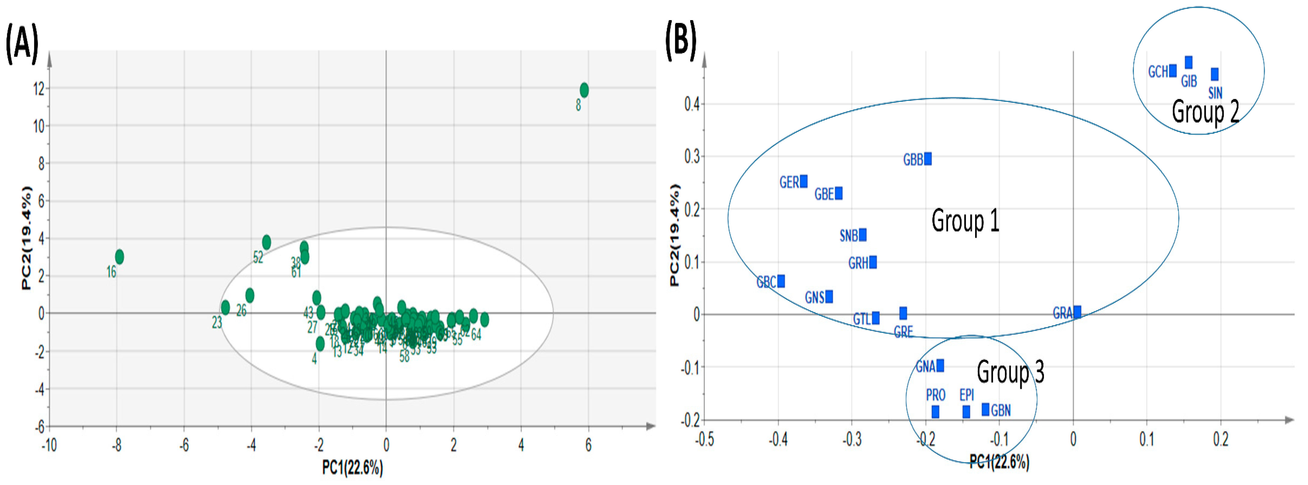 Plants 13 00009 g002