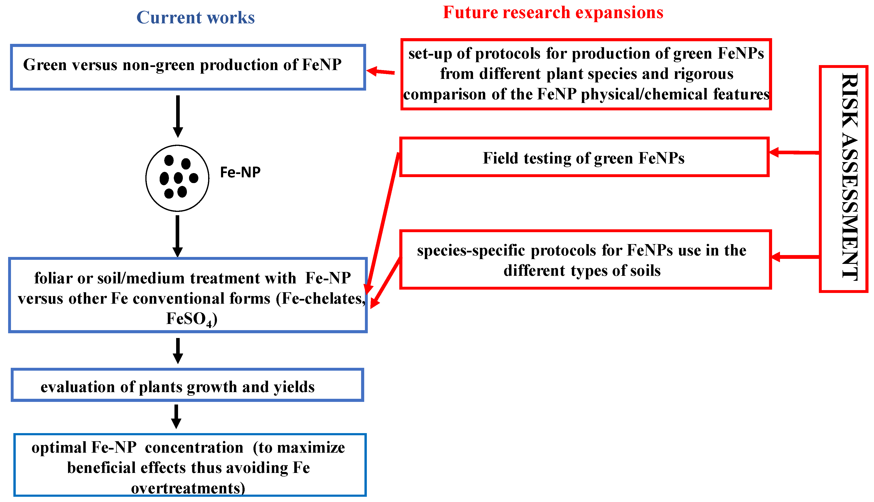 Plants 13 00014 g001
