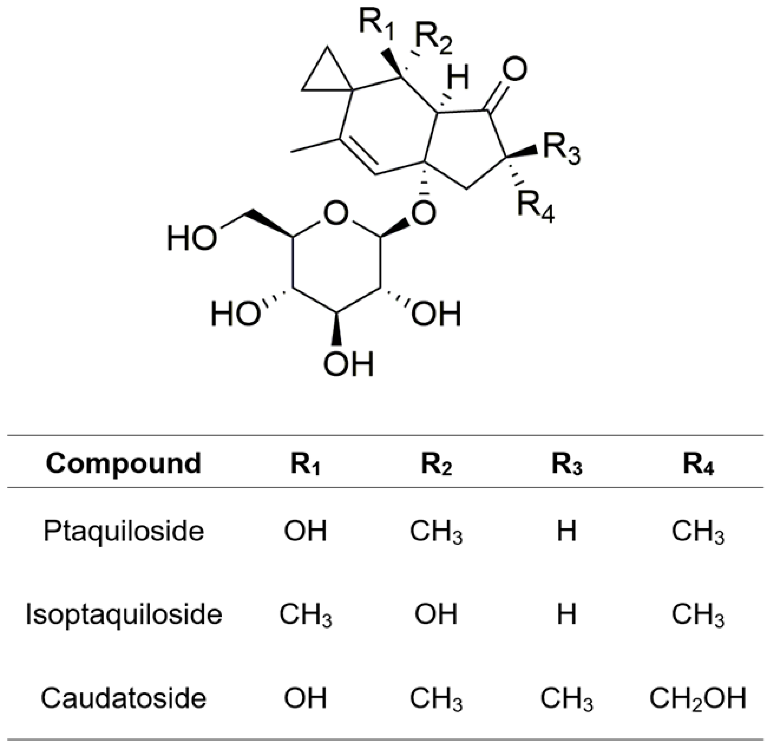 Plants 13 00018 g003