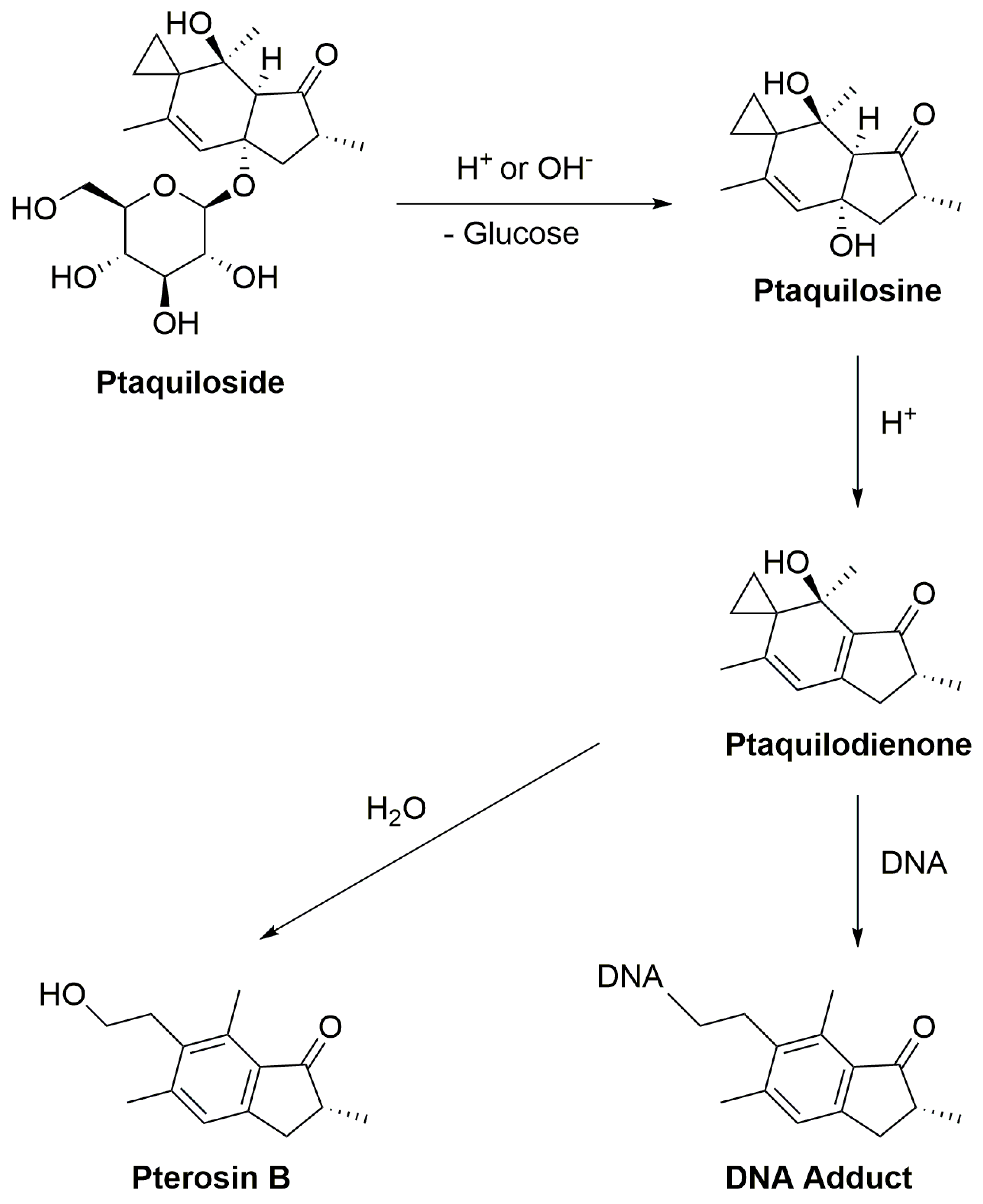 Plants 13 00018 g004