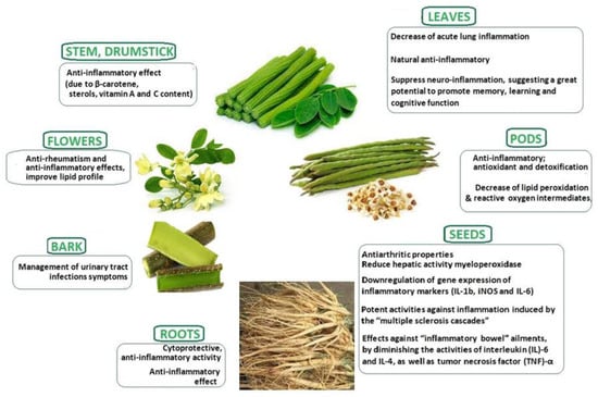 Plants 13 00020 g001