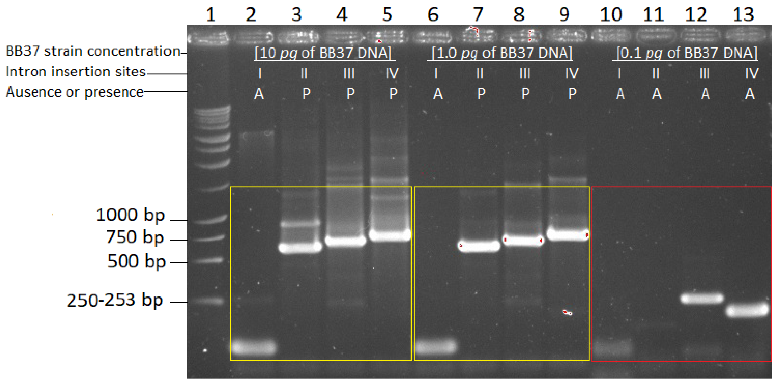 Plants 13 00022 g004