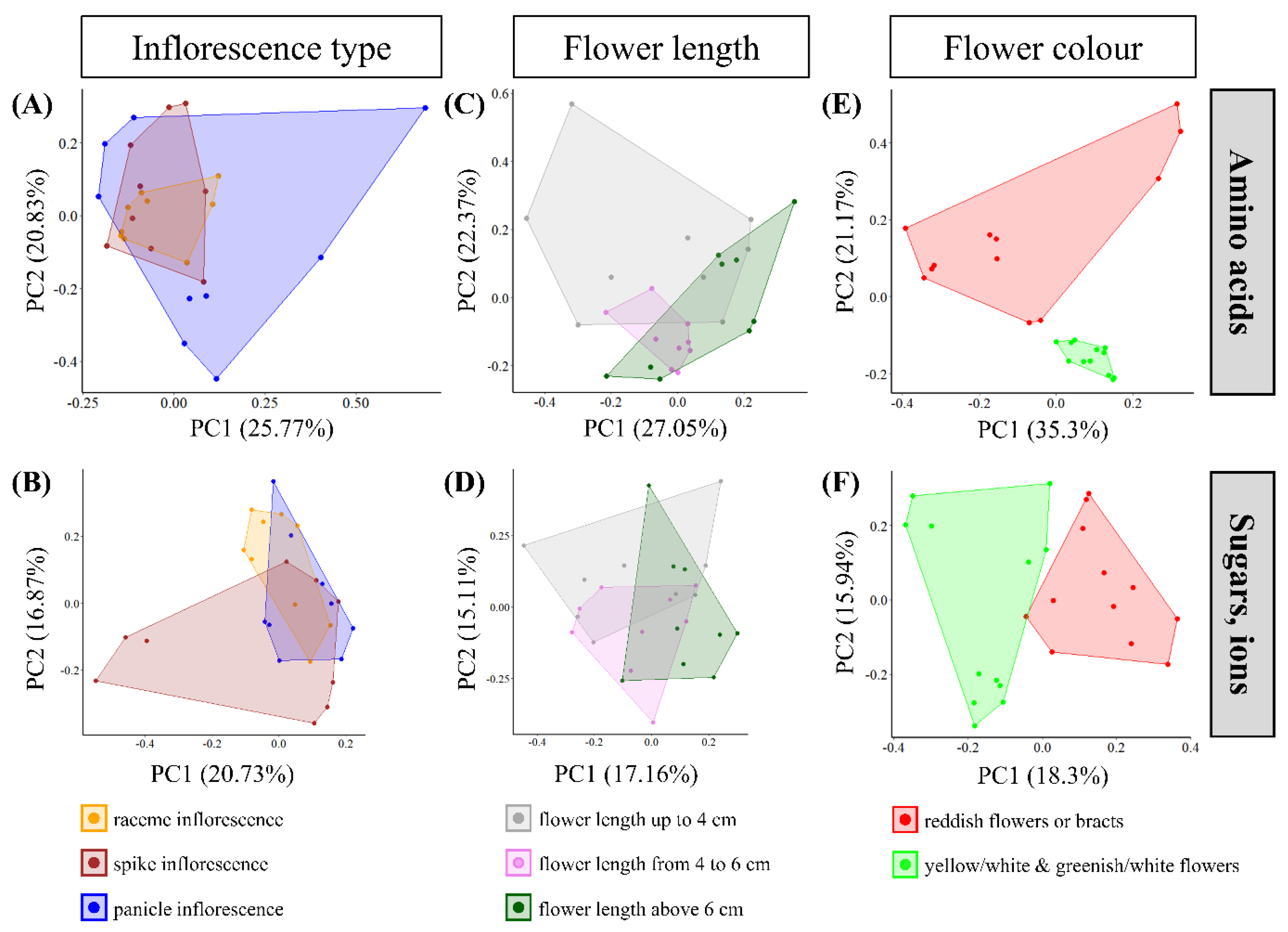 Plants 13 00023 g002