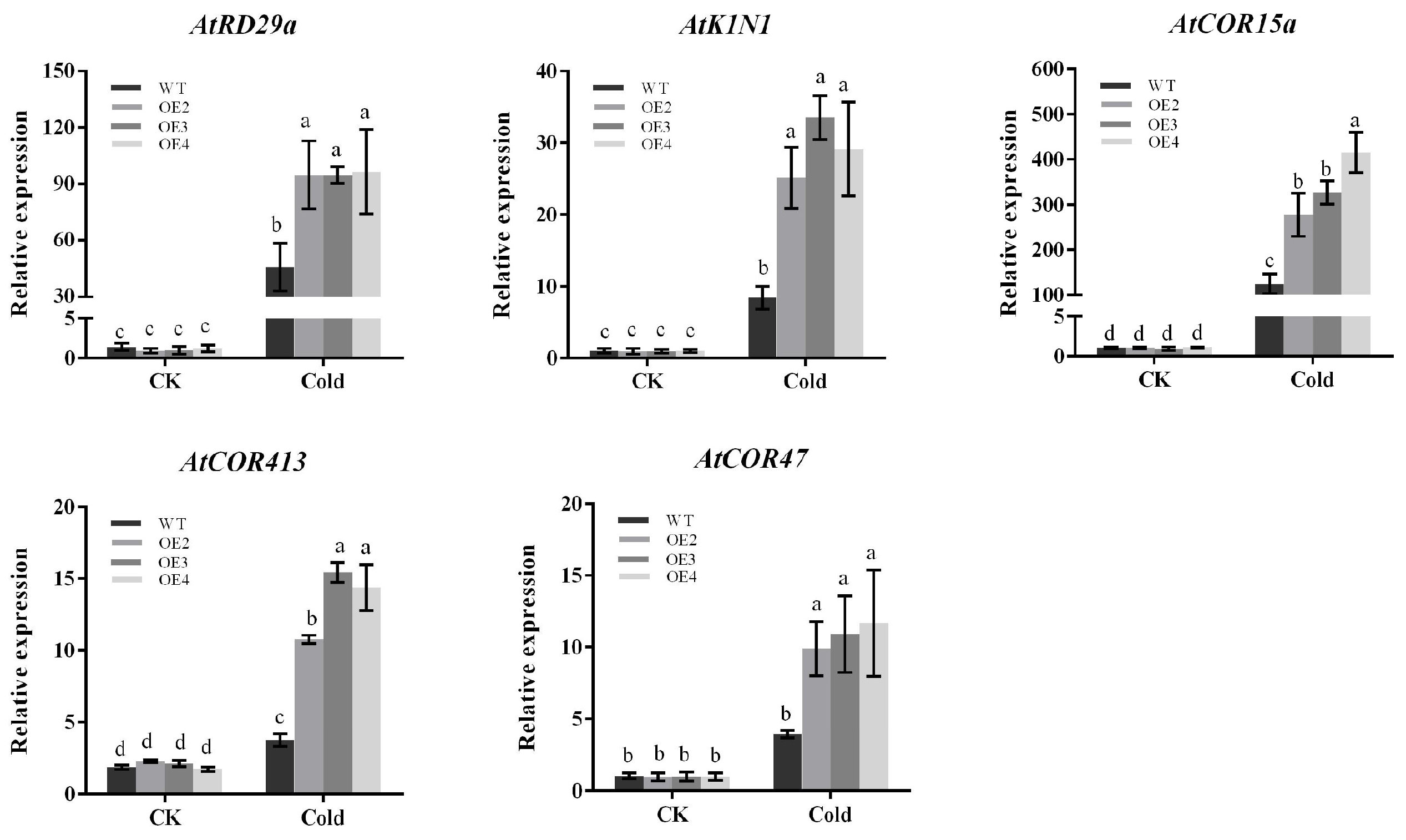 Plants 13 00024 g008