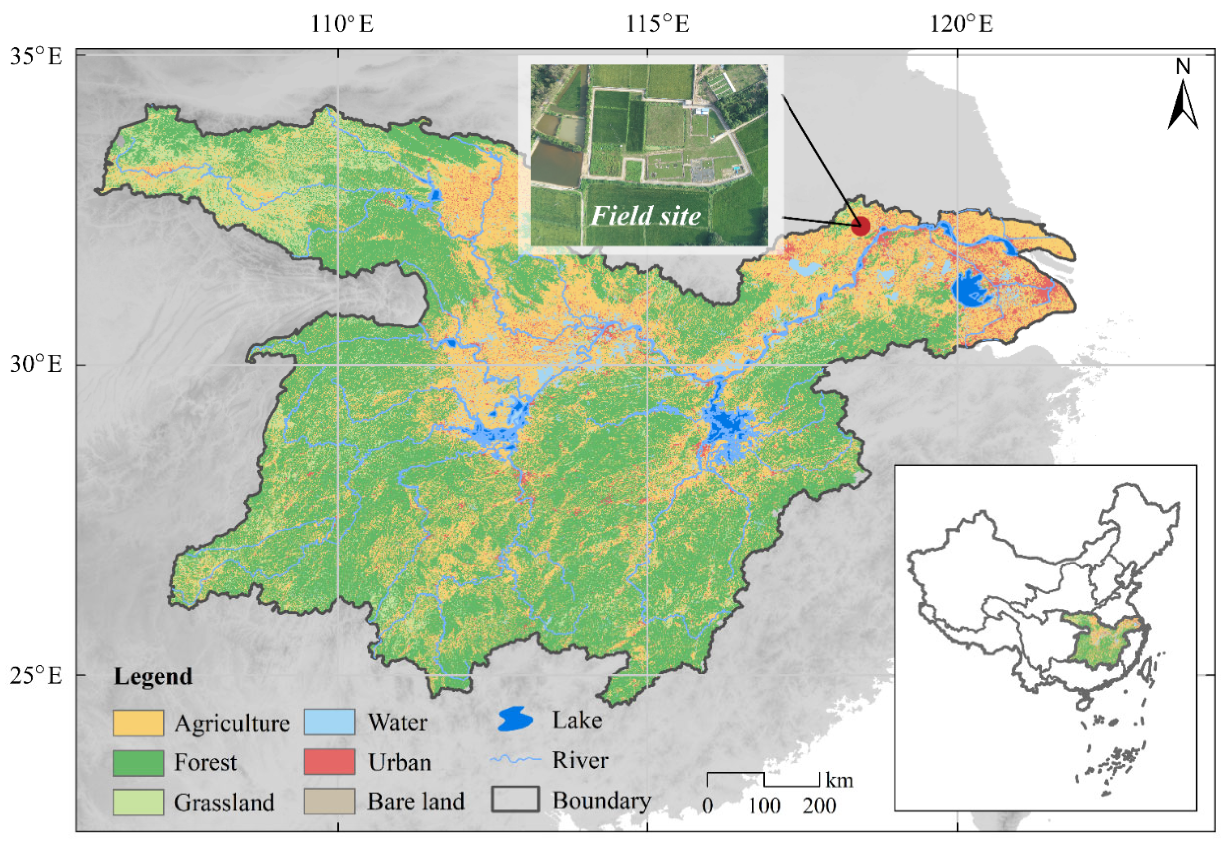 Plants 13 00025 g001