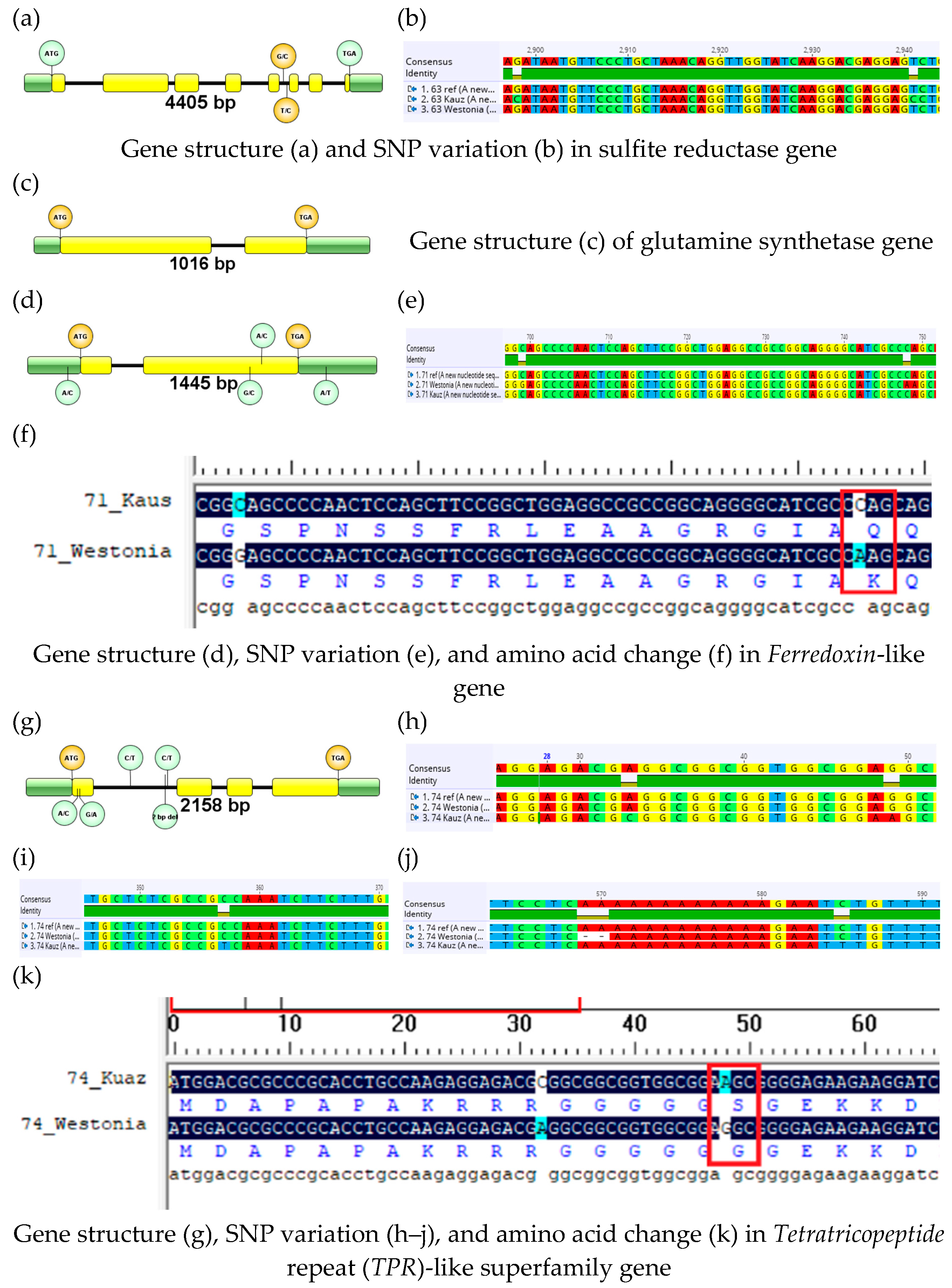 Plants 13 00026 g002