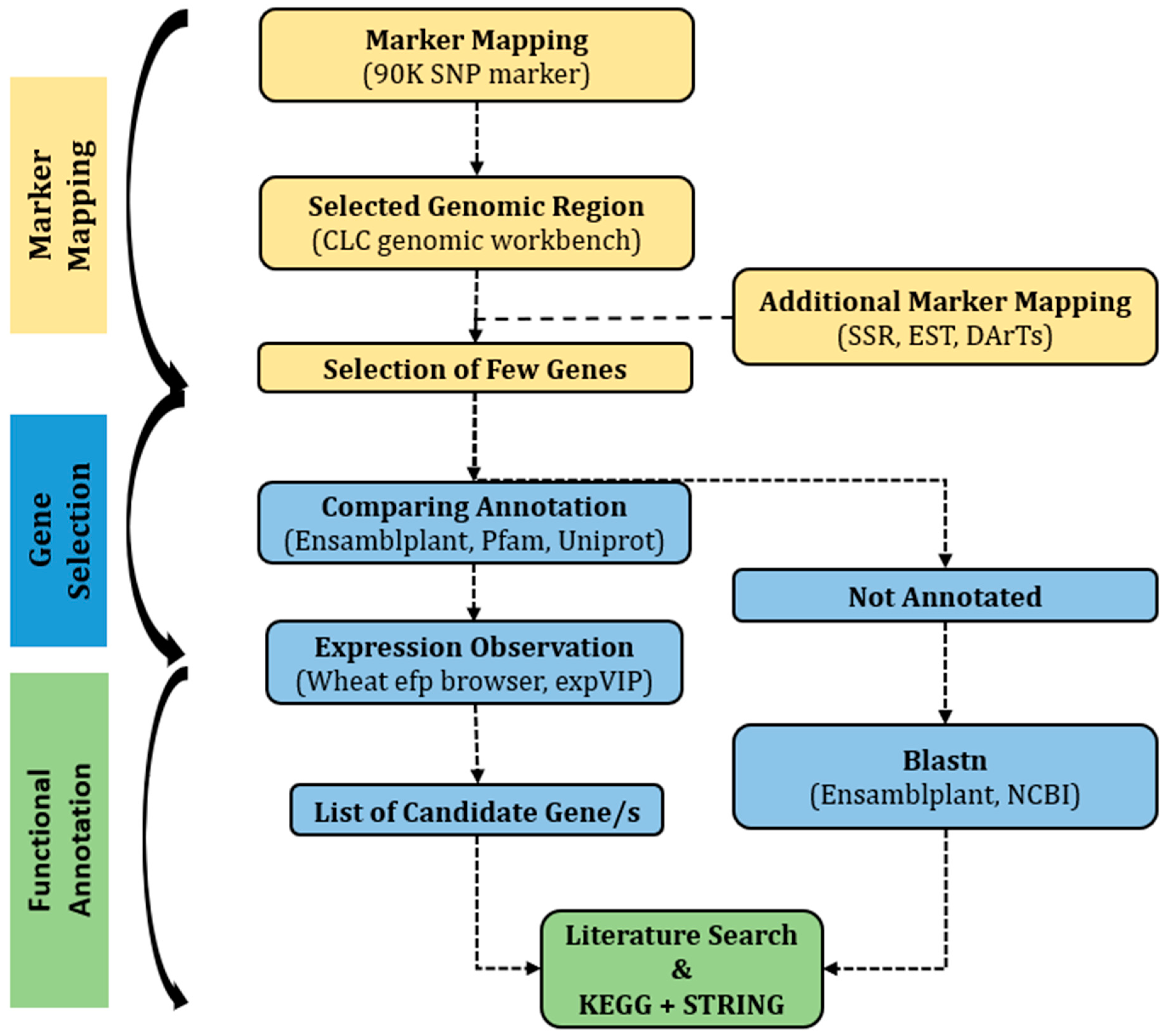 Plants 13 00026 g005