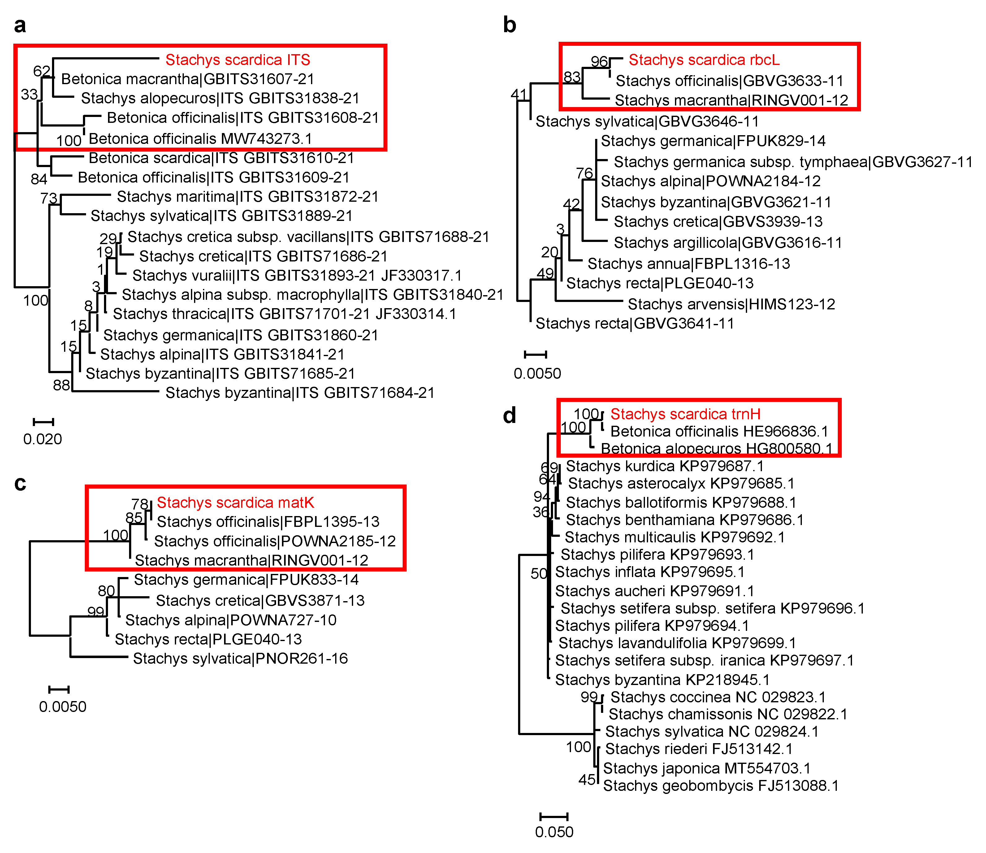 Plants 13 00030 g003