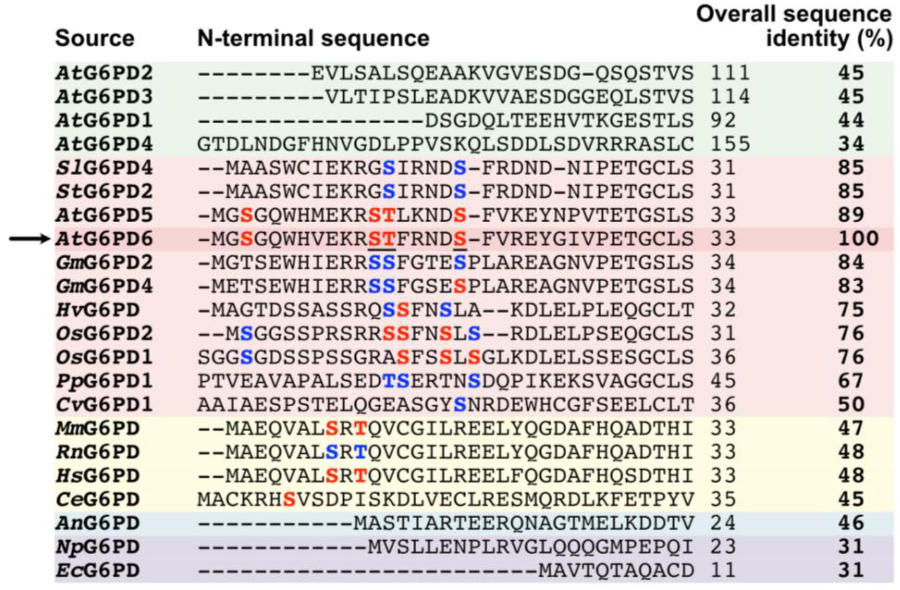 Plants 13 00031 g002
