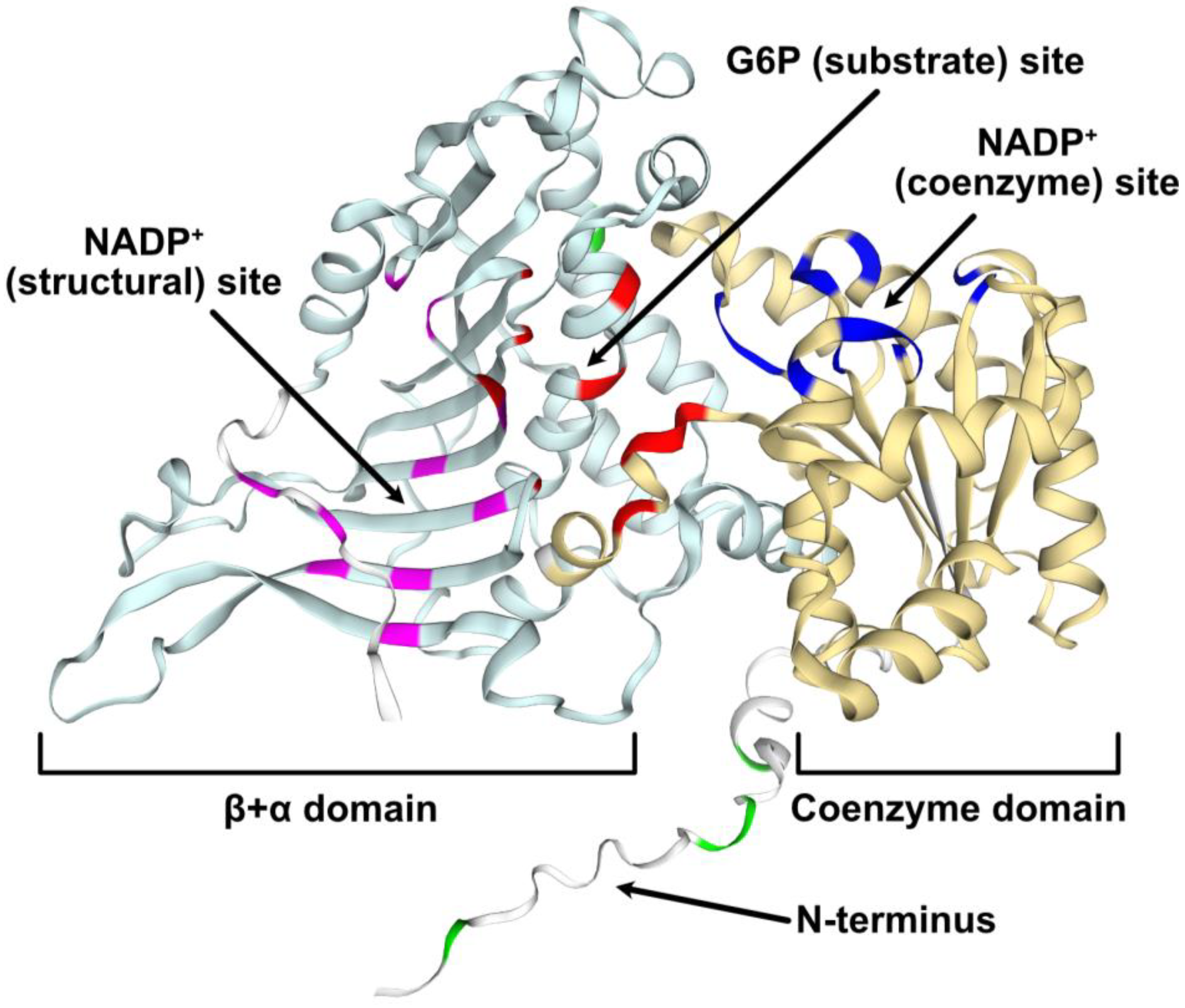 Plants 13 00031 g004