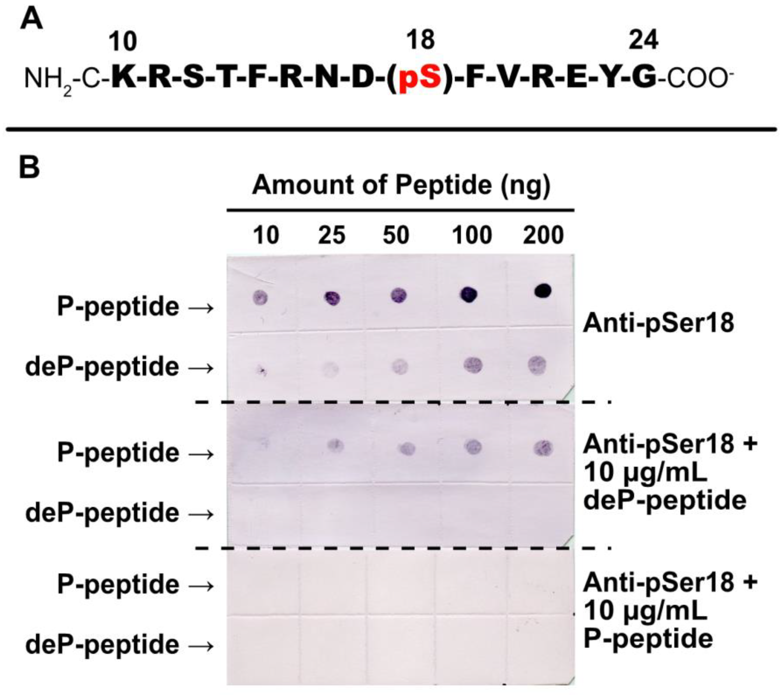Plants 13 00031 g005
