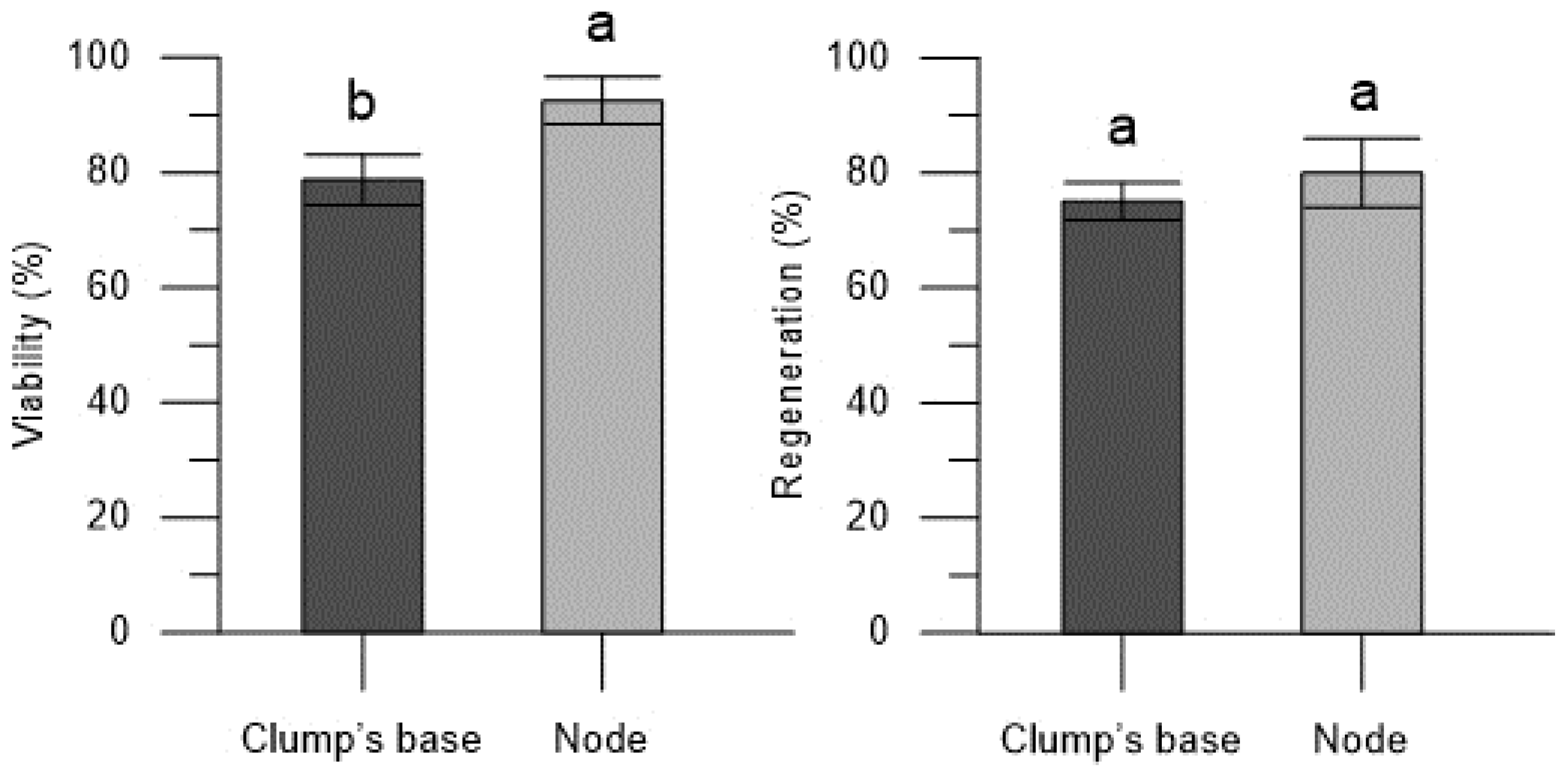 Plants 13 00032 g001