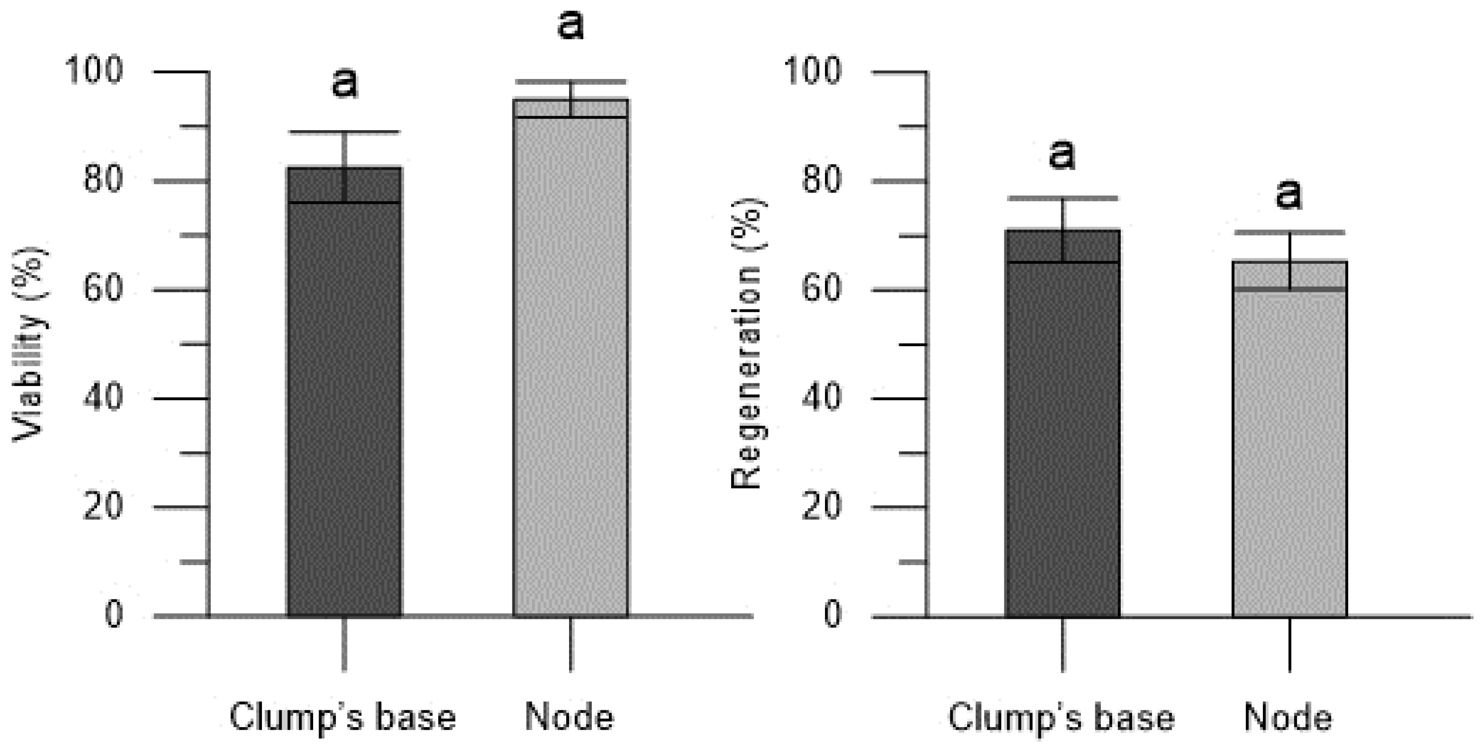 Plants 13 00032 g005