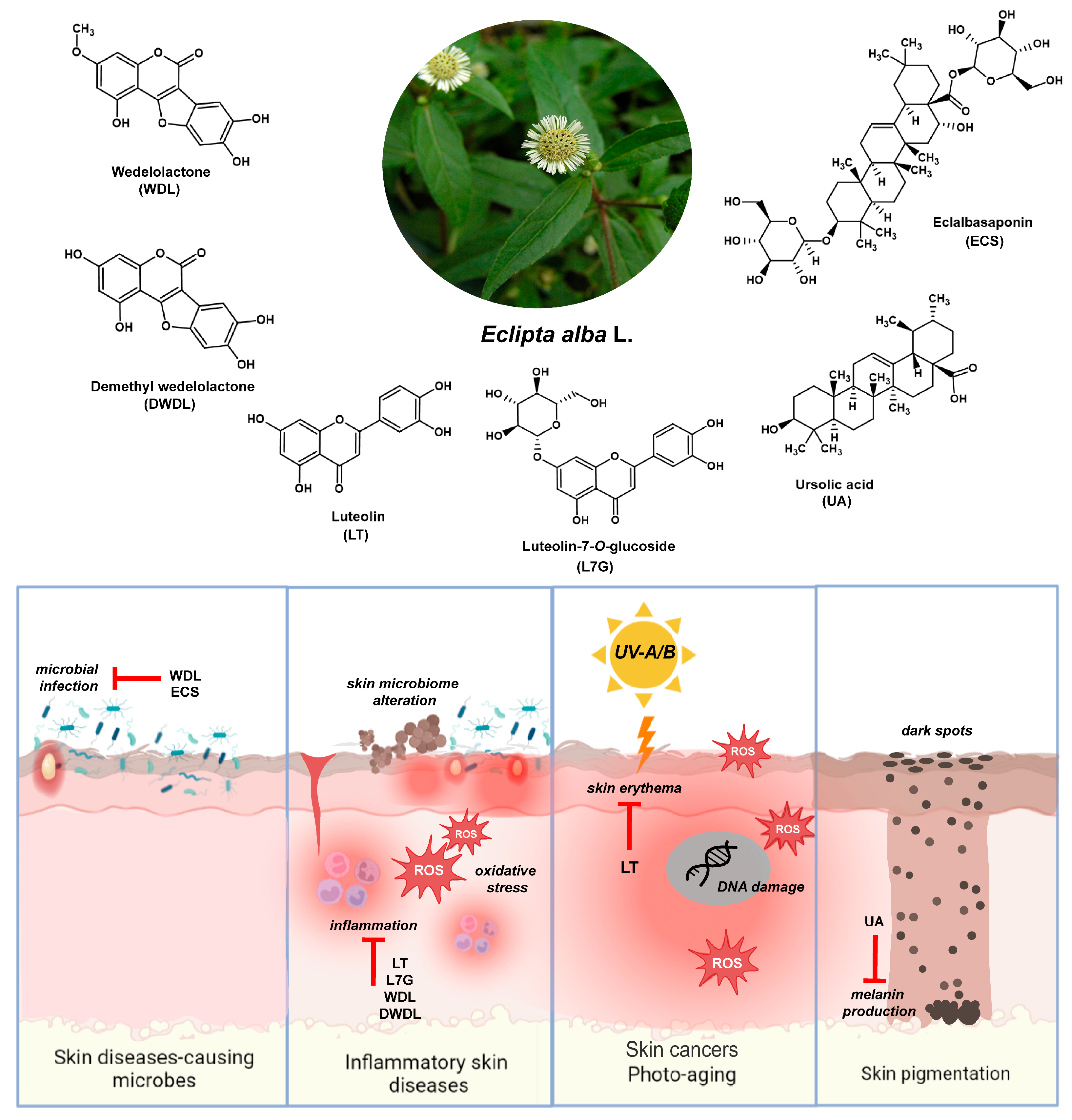 Plants 13 00033 g002