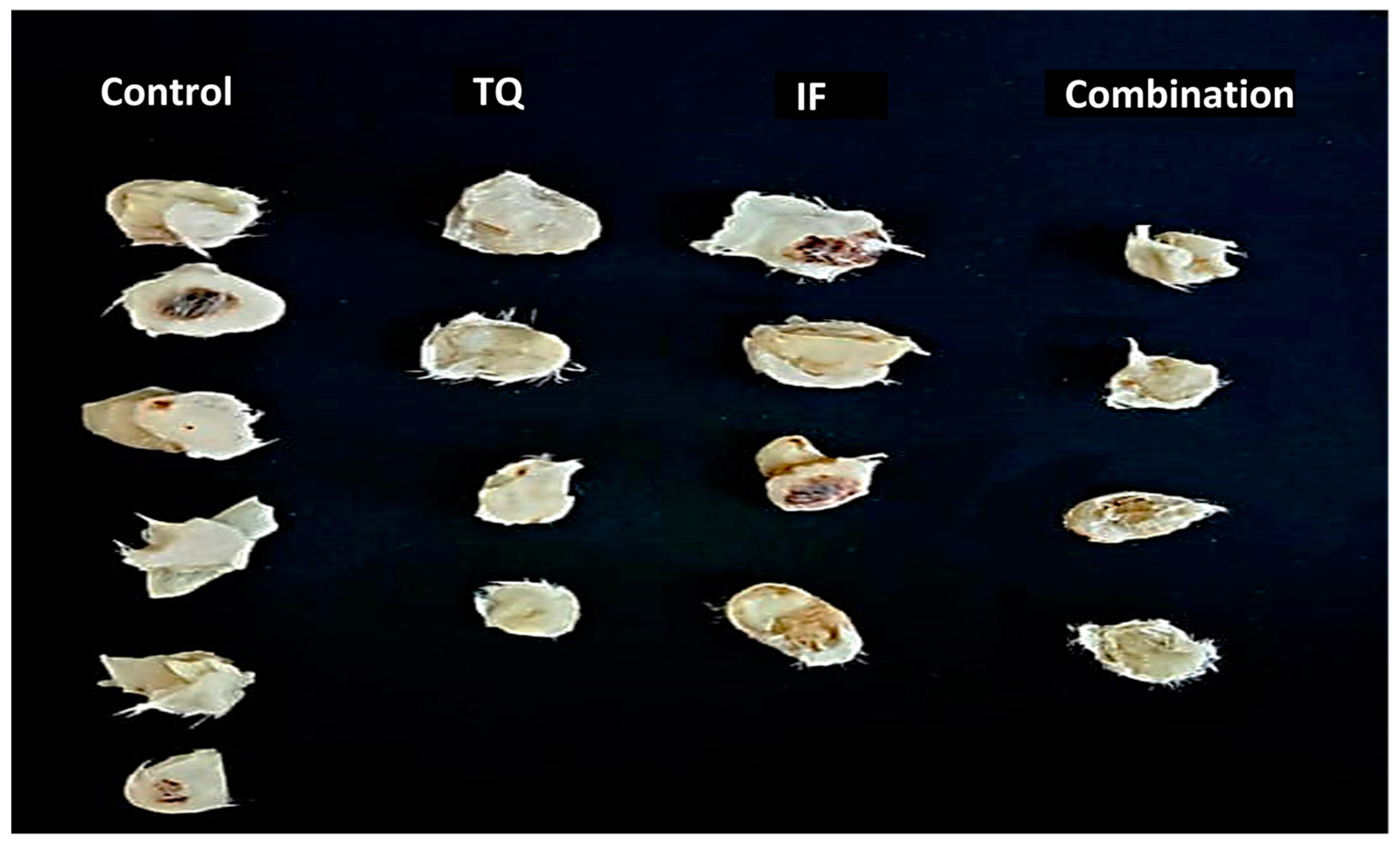 Plants 13 00035 g003 Plants 13 00035 g003