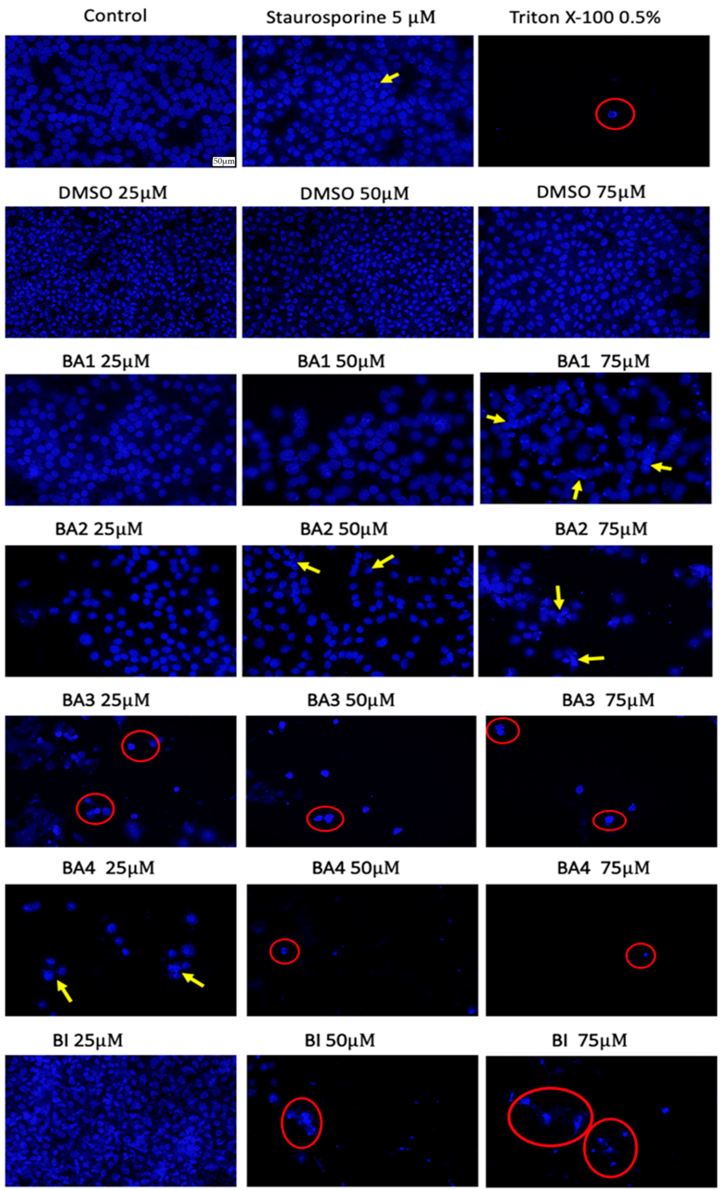 Plants 13 00036 g007