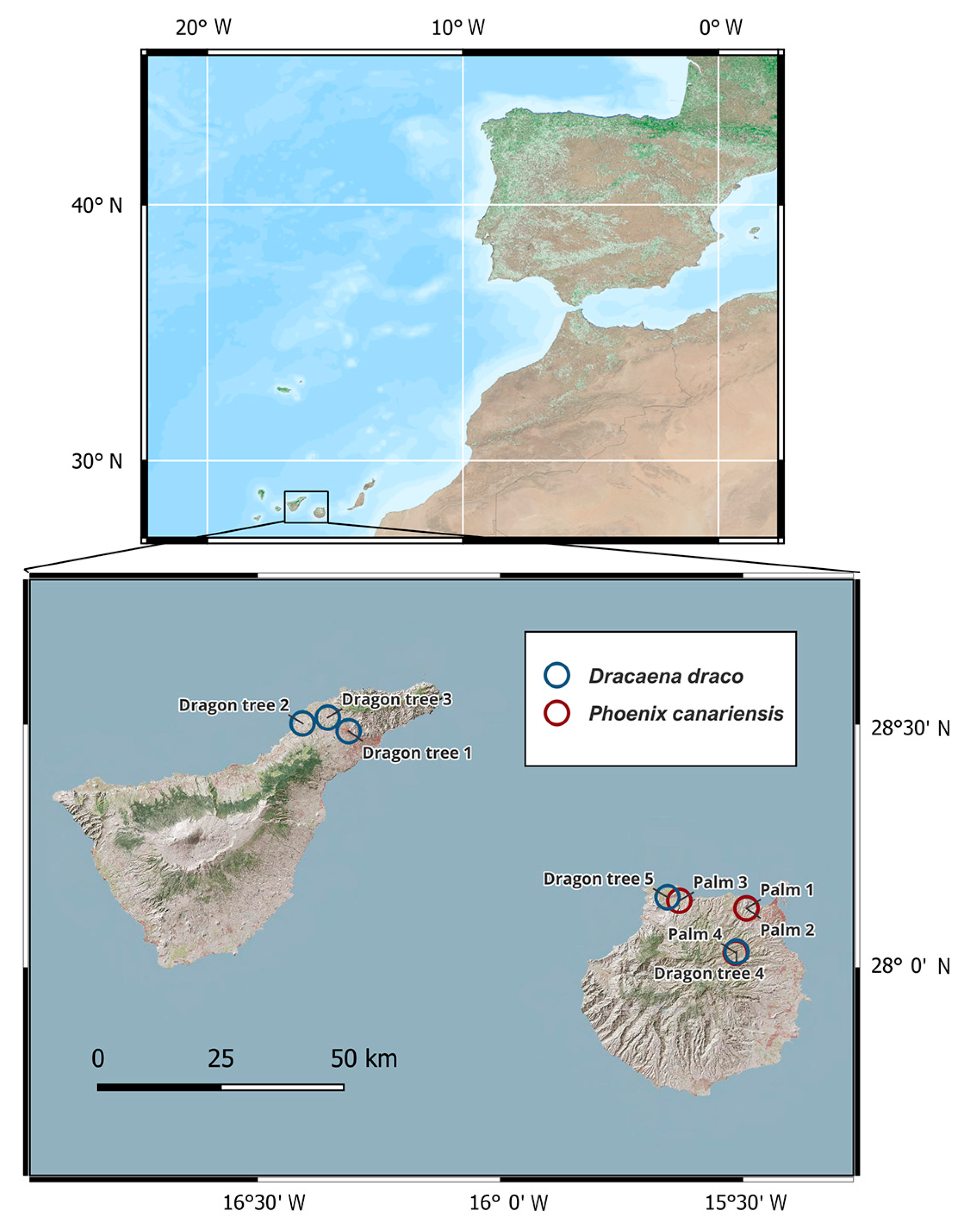 Plants 13 00045 g001