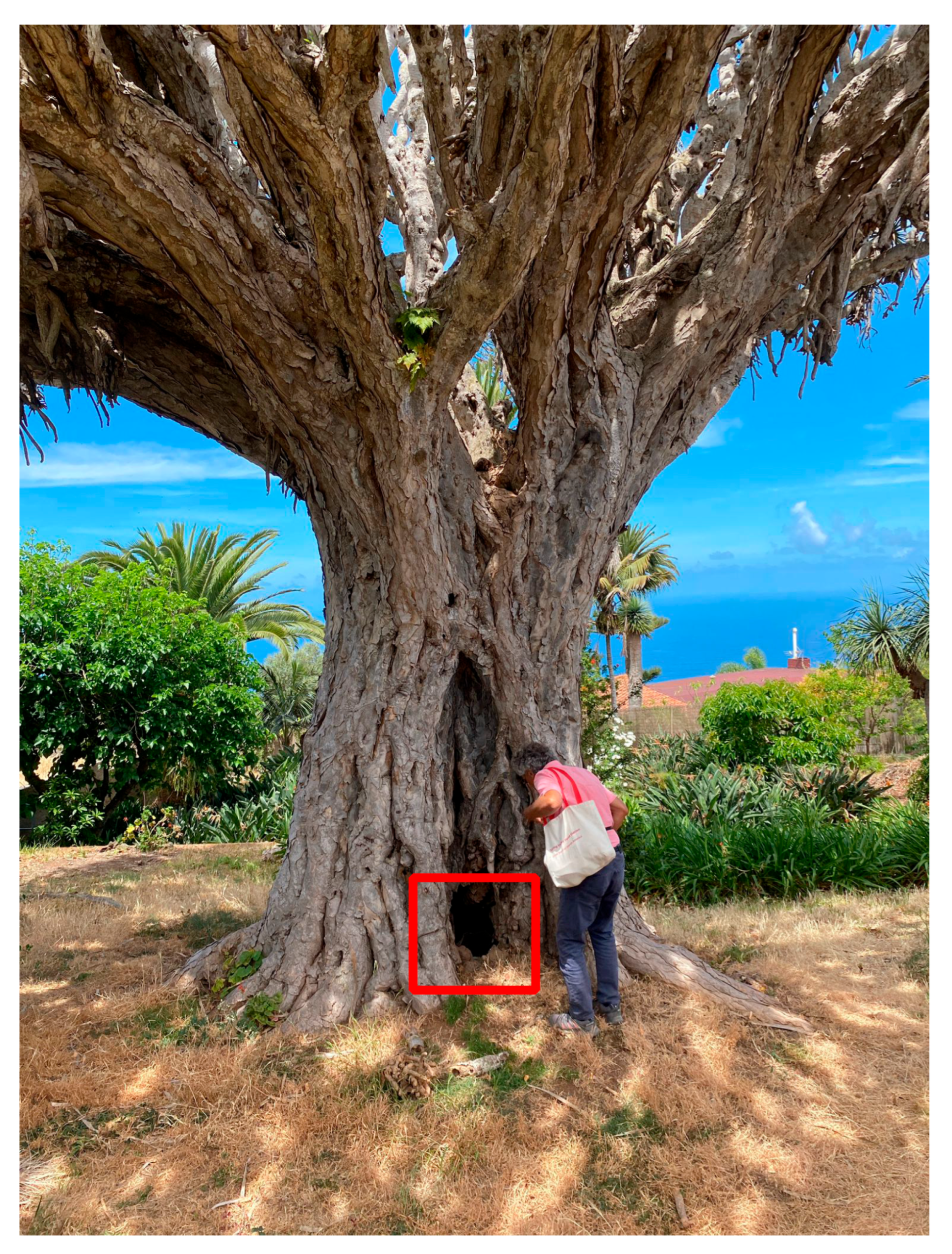 Plants 13 00045 g002