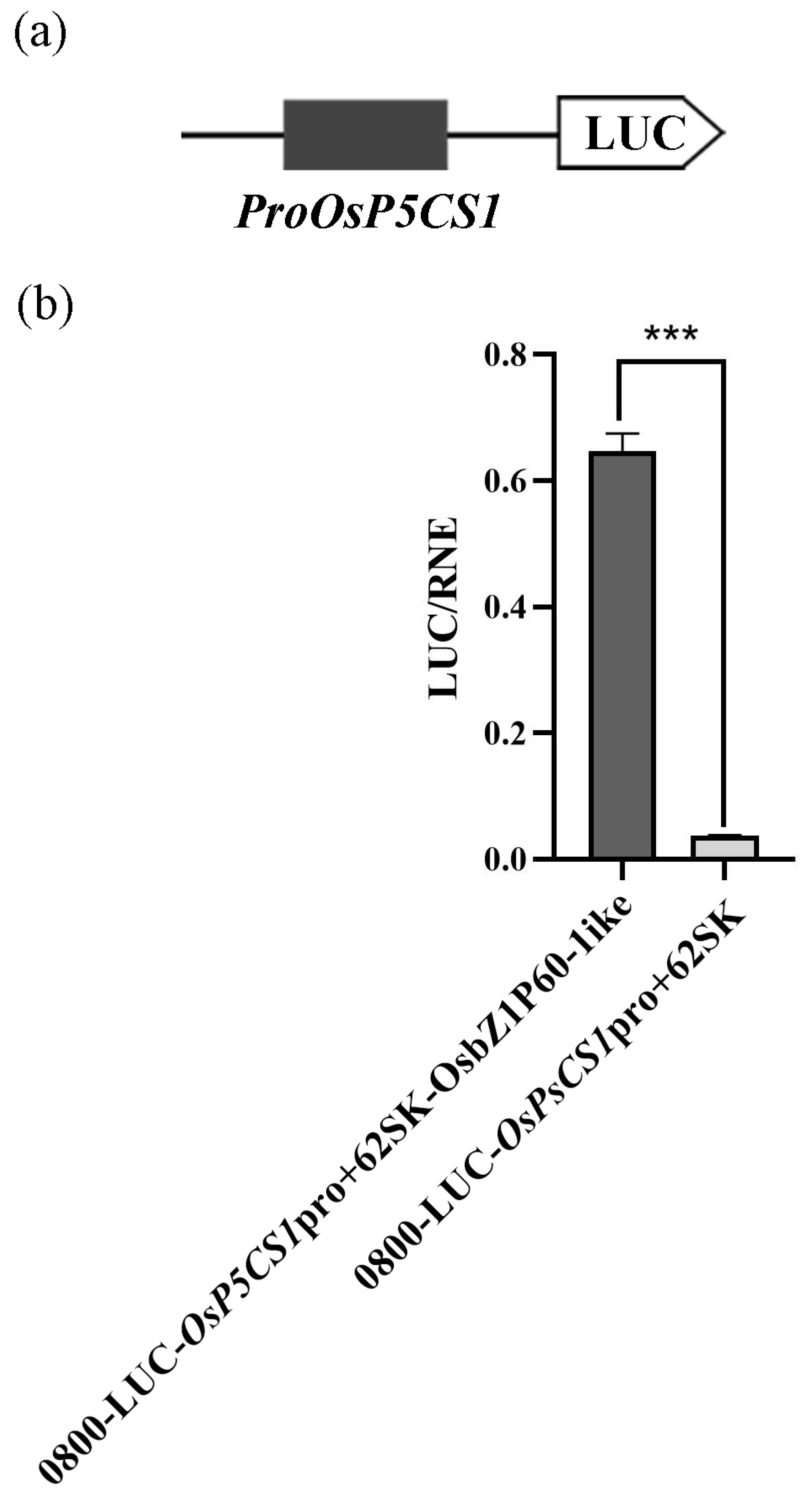 Plants 13 00049 g005 Plants 13 00049 g005