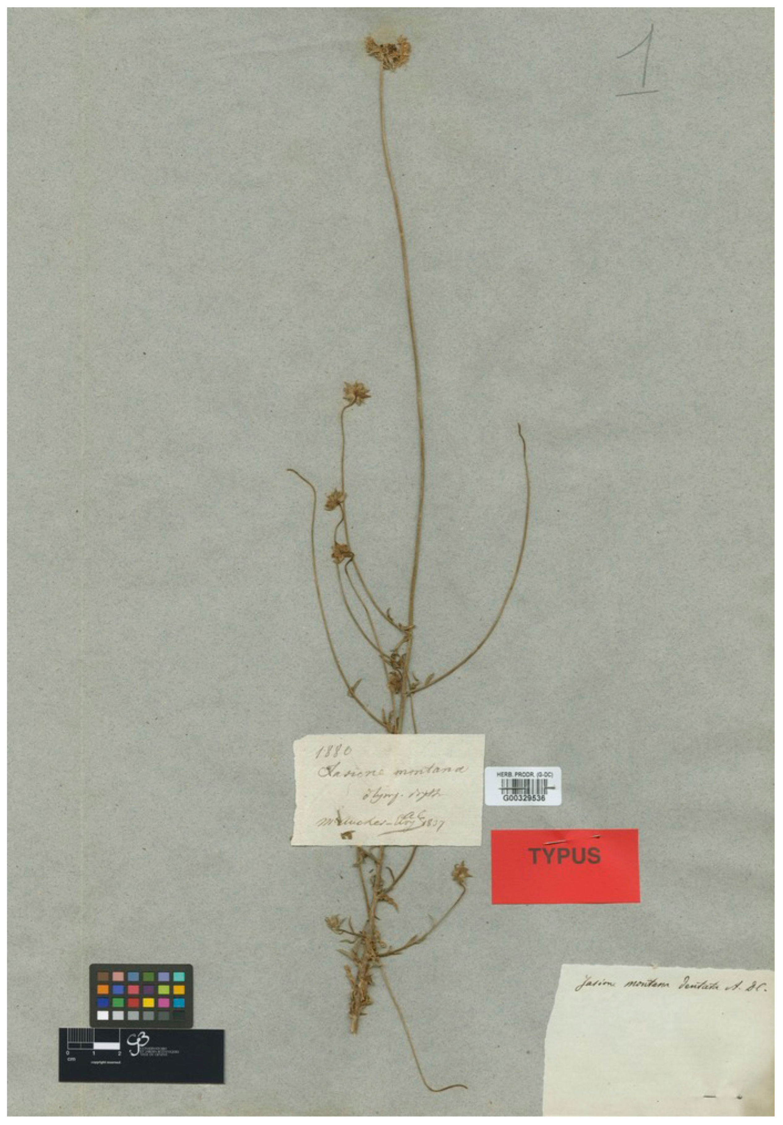 Plants 13 00050 g004