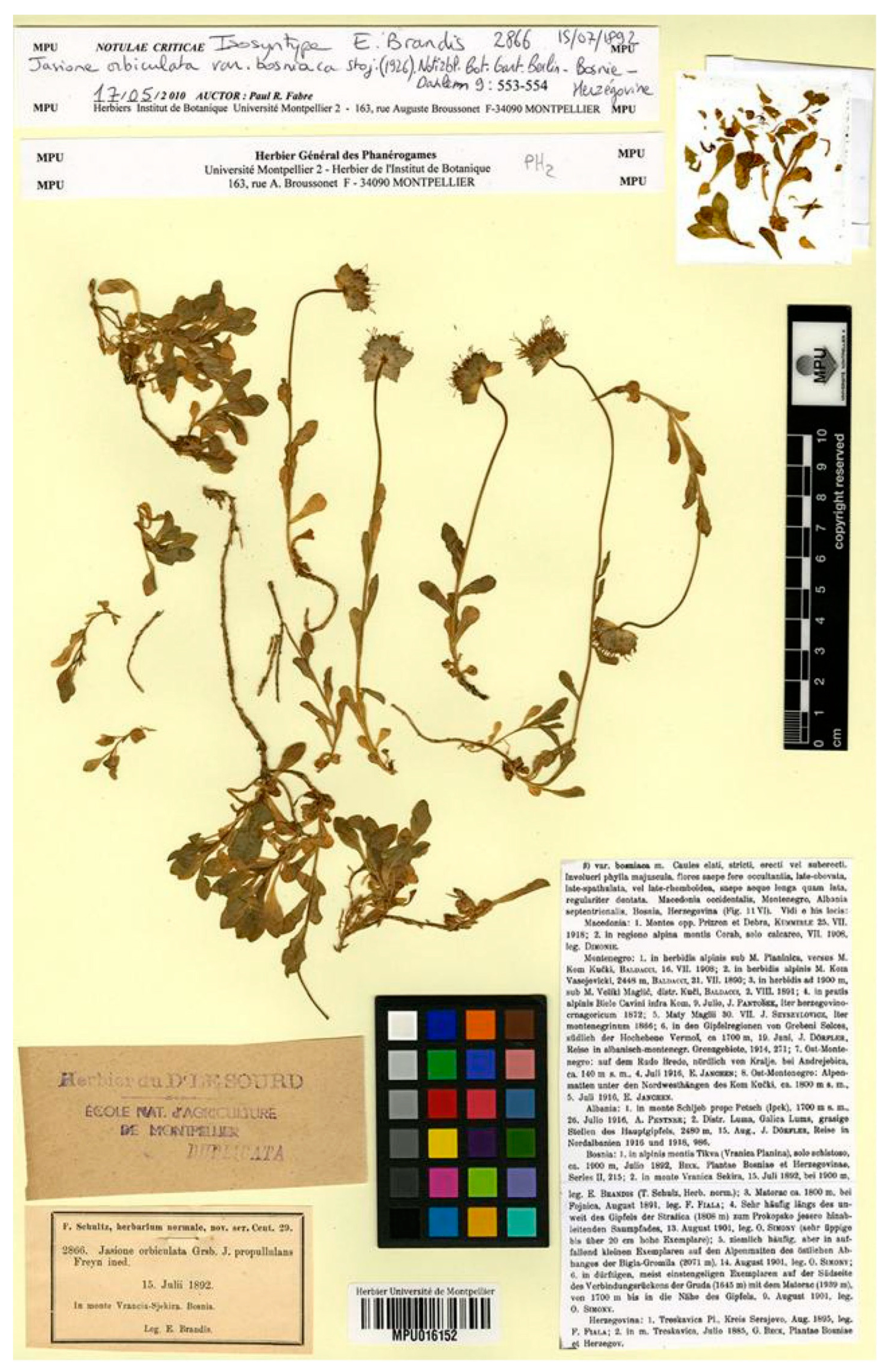 Plants 13 00050 g006