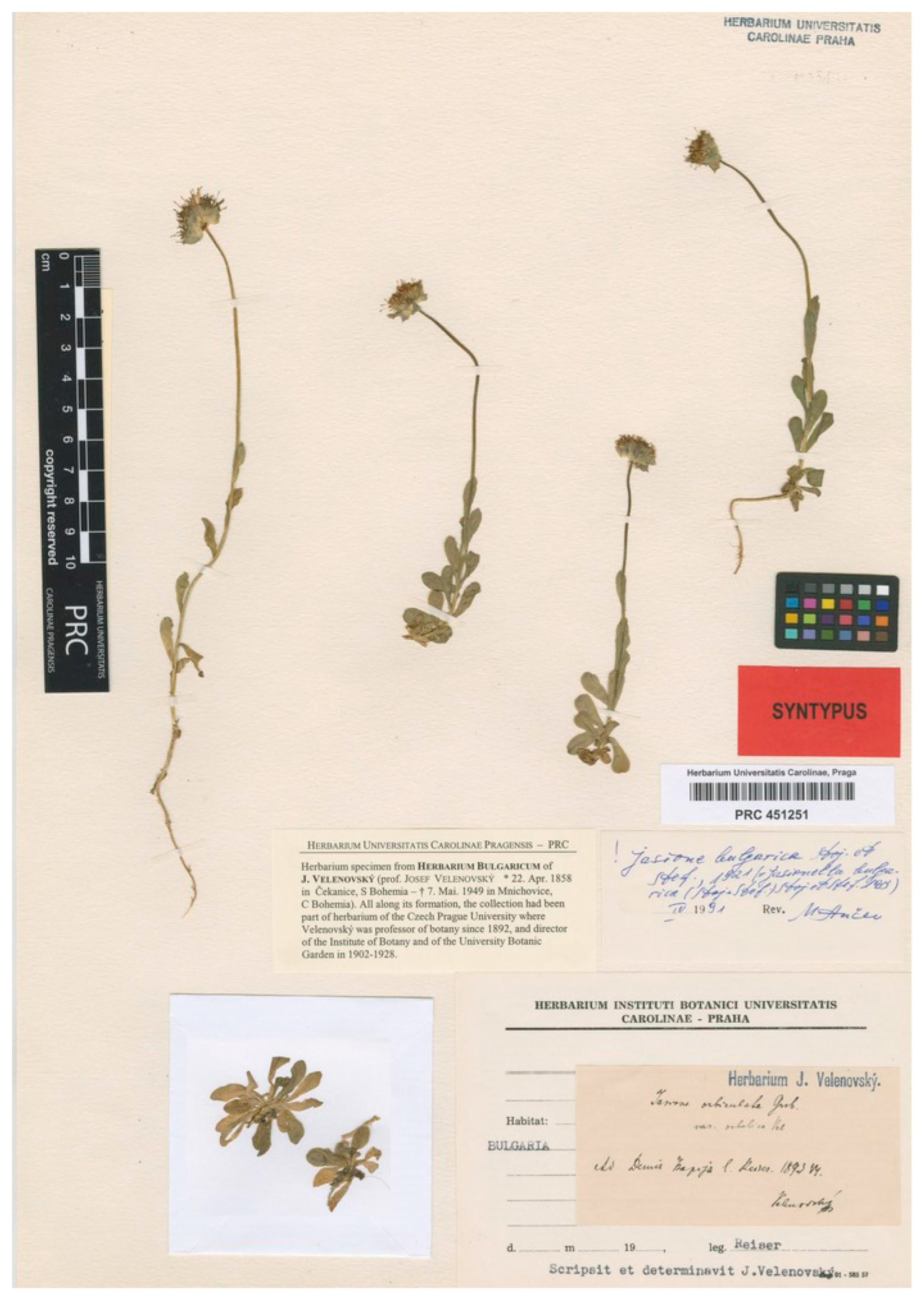 Plants 13 00050 g009