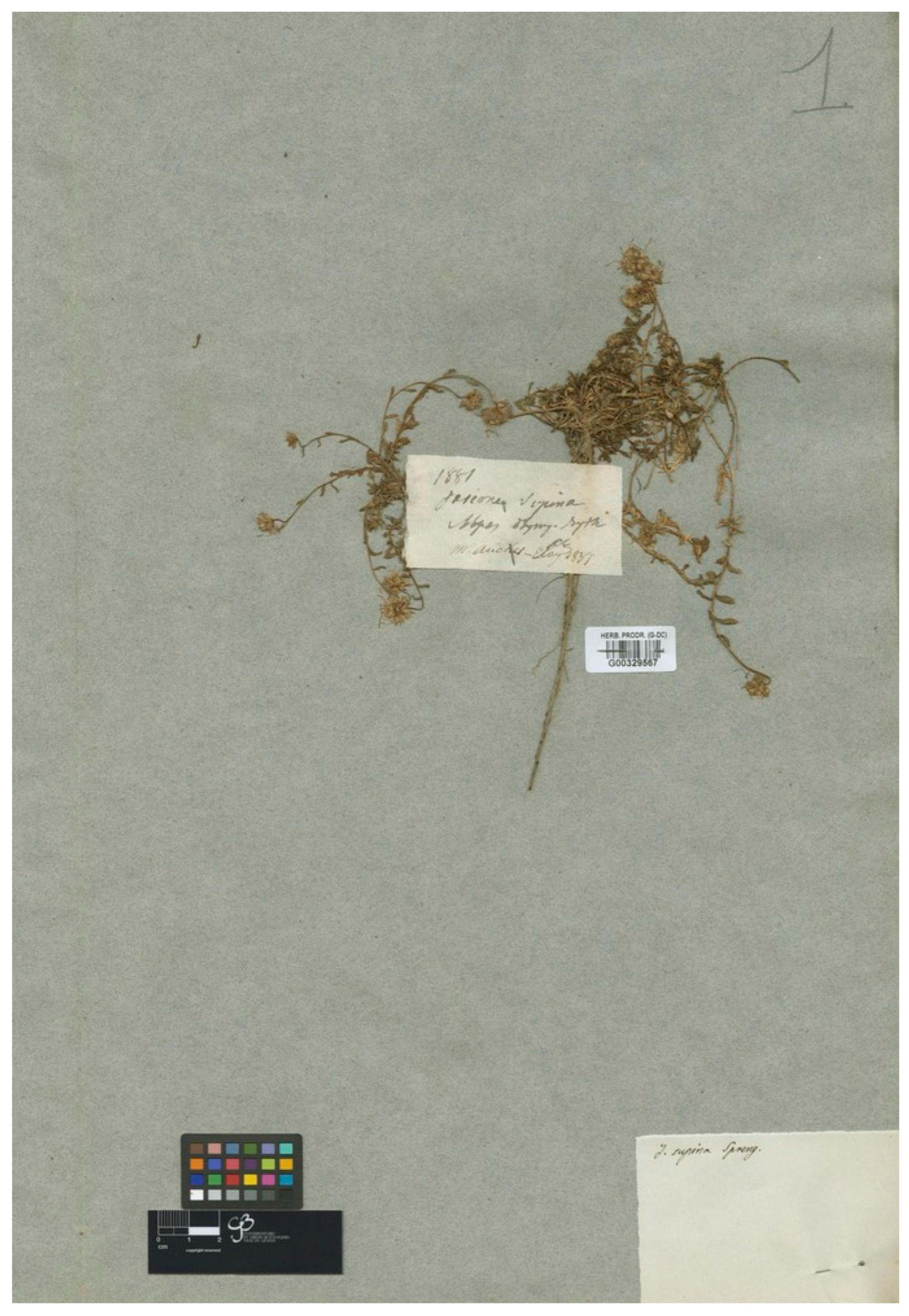 Plants 13 00050 g010