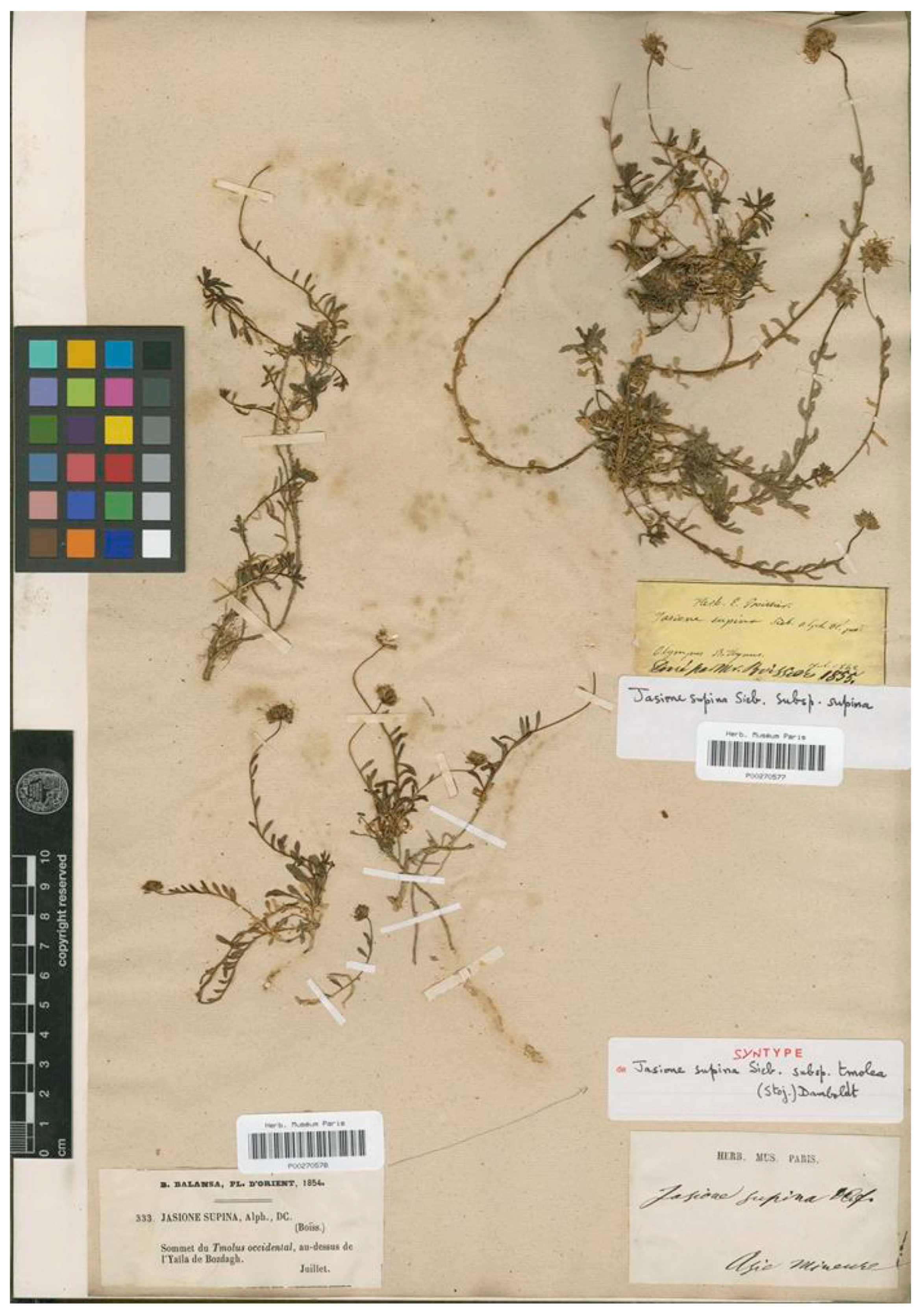 Plants 13 00050 g012