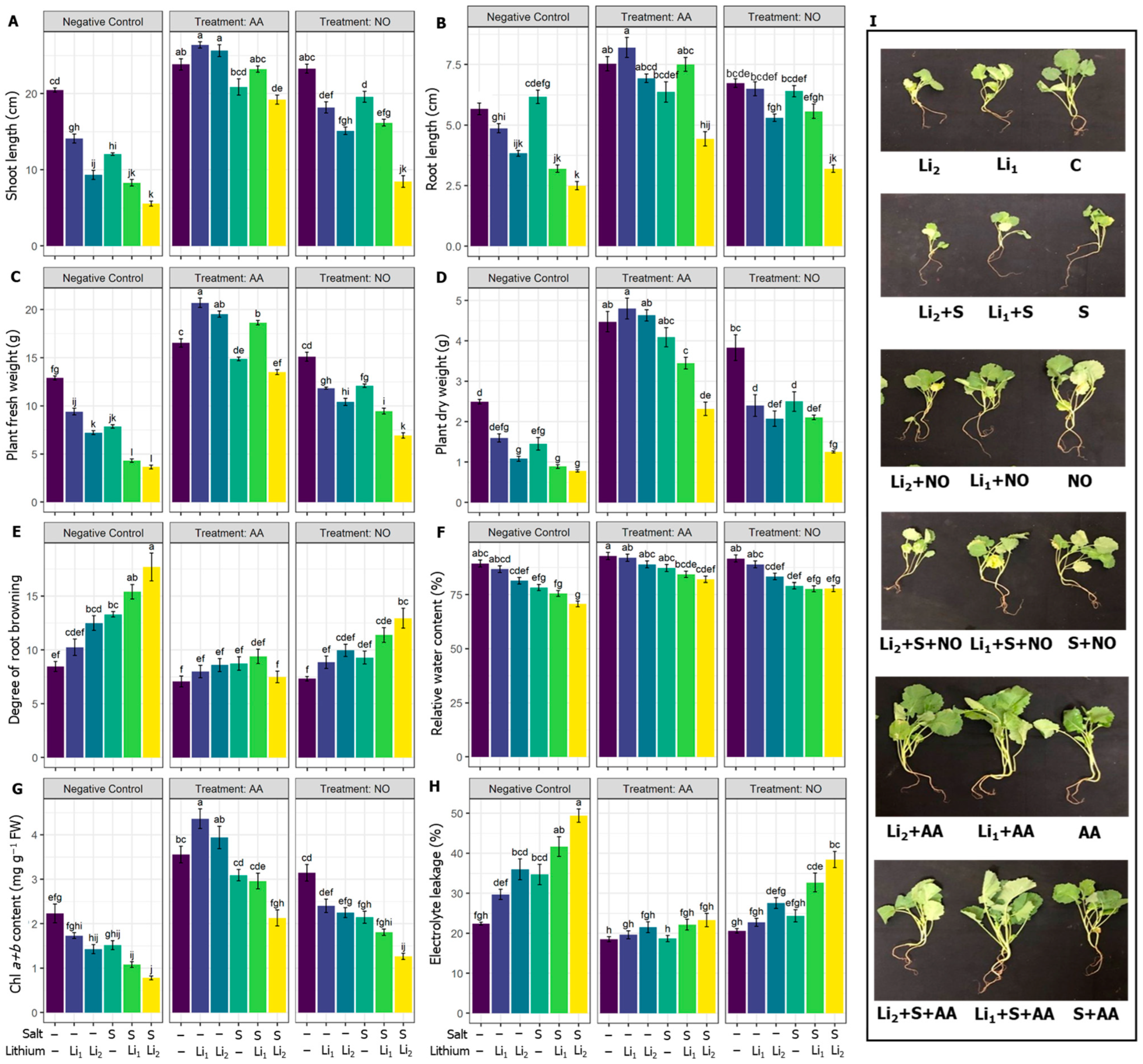 Plants 13 00051 g001