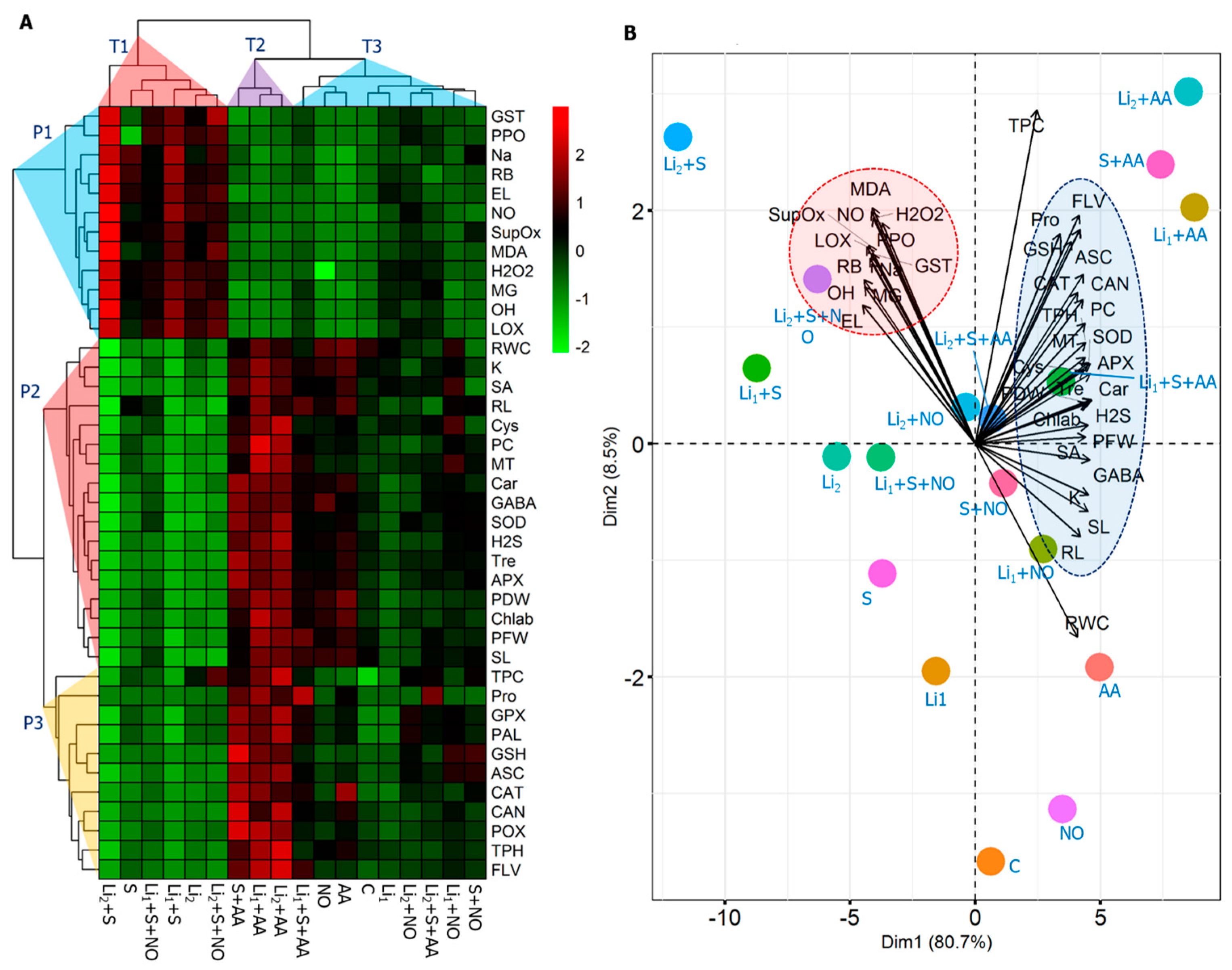 Plants 13 00051 g008