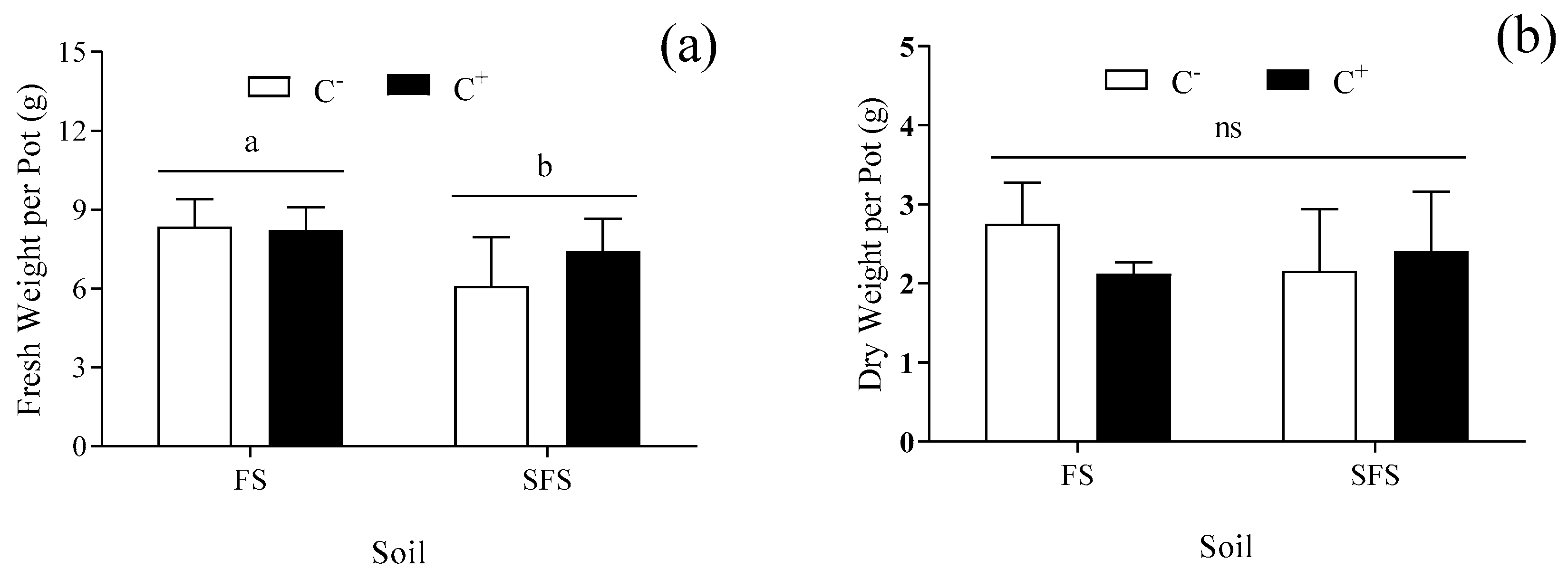 Plants 13 00052 g001