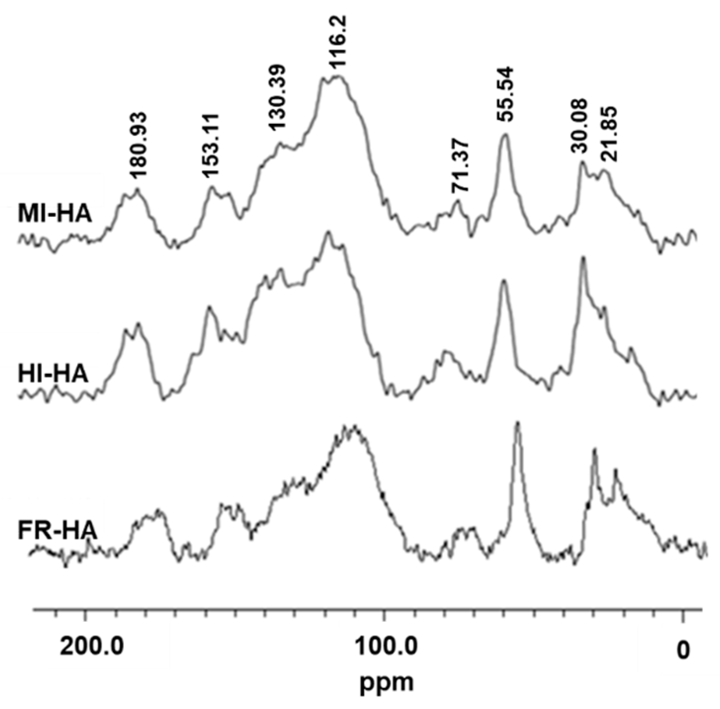 Plants 13 00056 g002