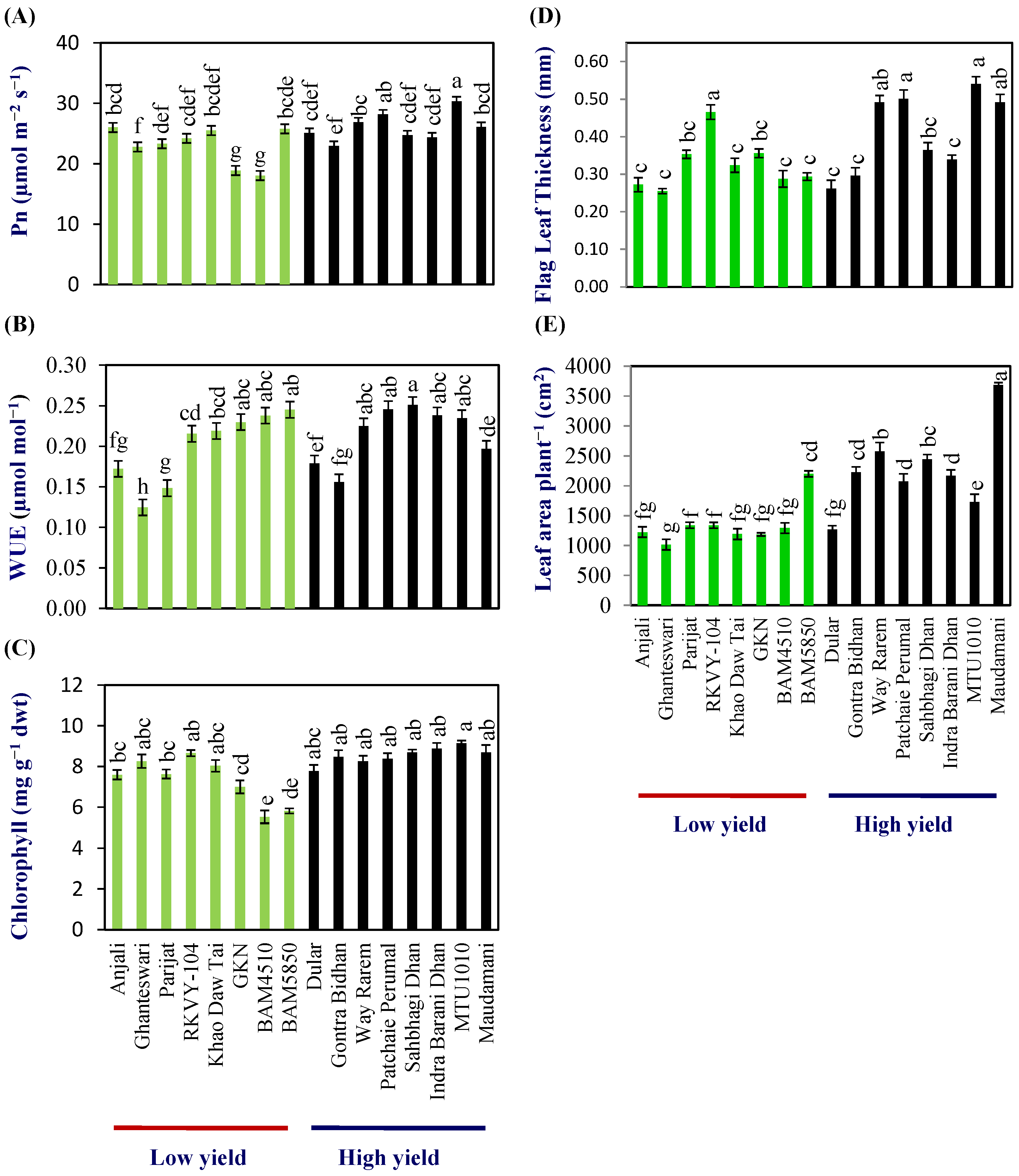 Plants 13 00062 g001