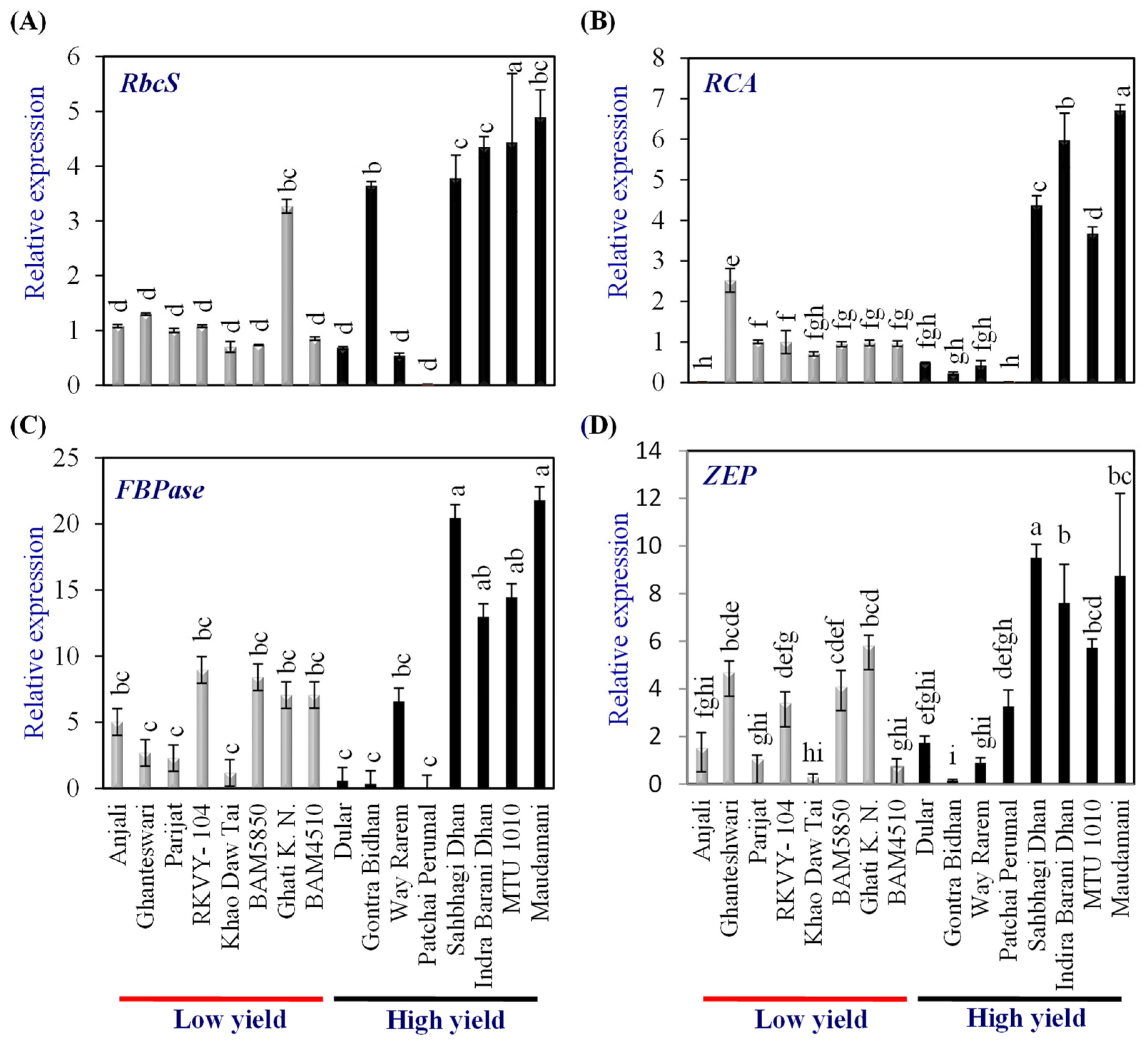 Plants 13 00062 g003