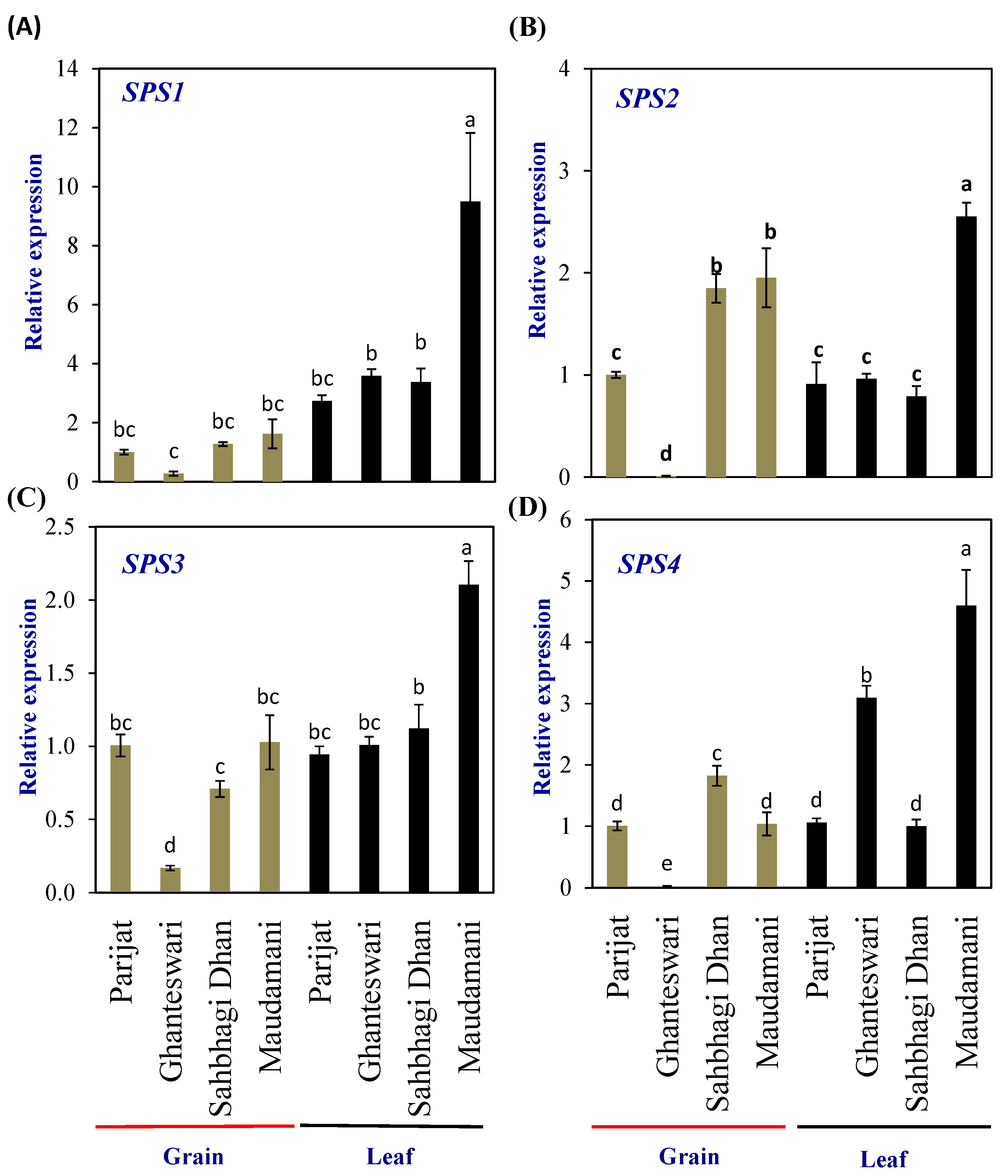 Plants 13 00062 g004