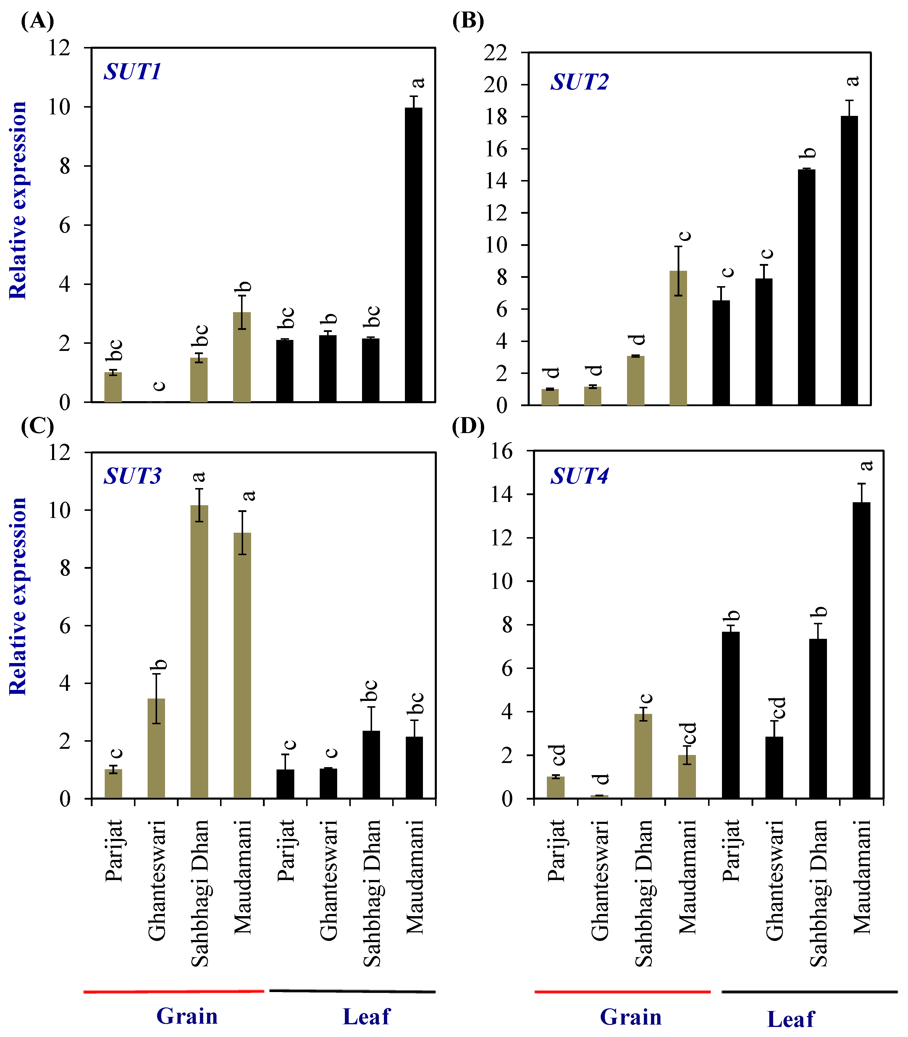 Plants 13 00062 g005