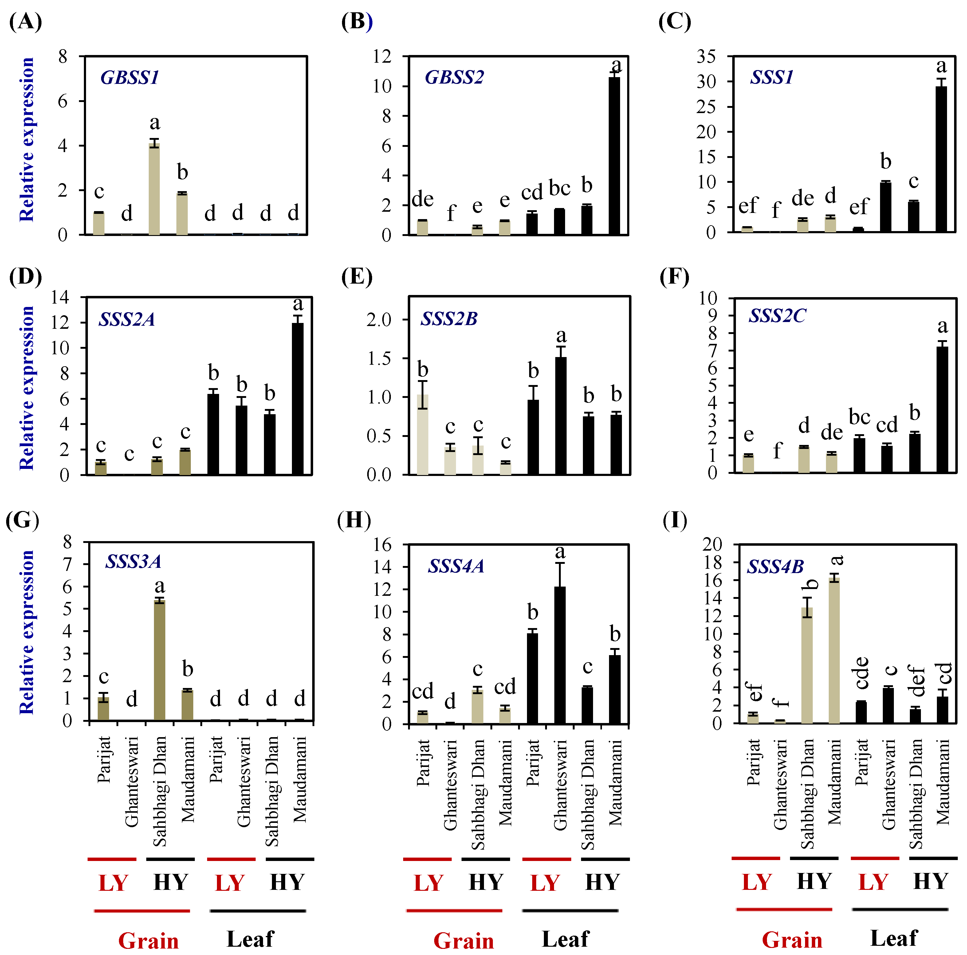 Plants 13 00062 g007