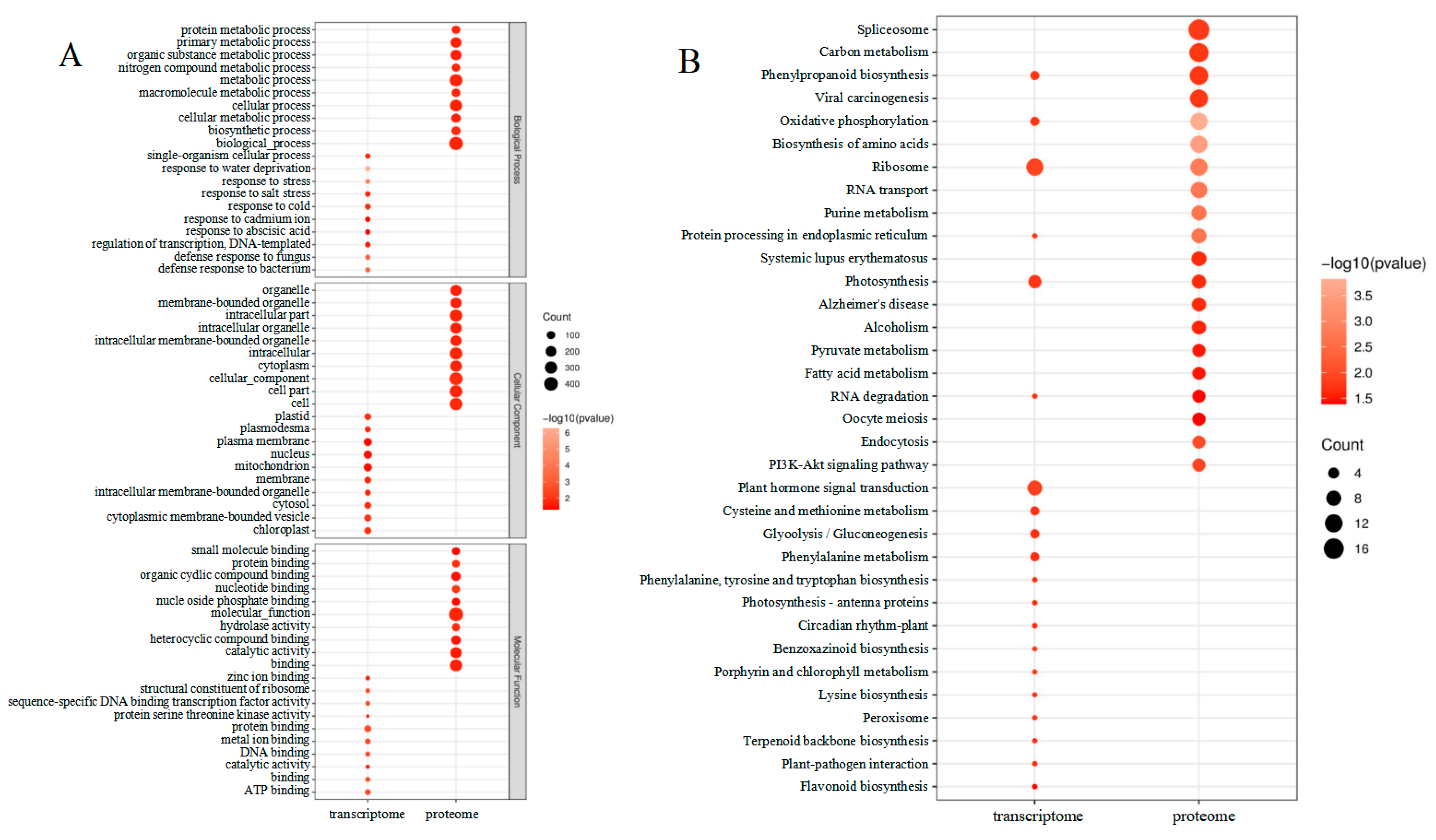 Plants 13 00065 g006