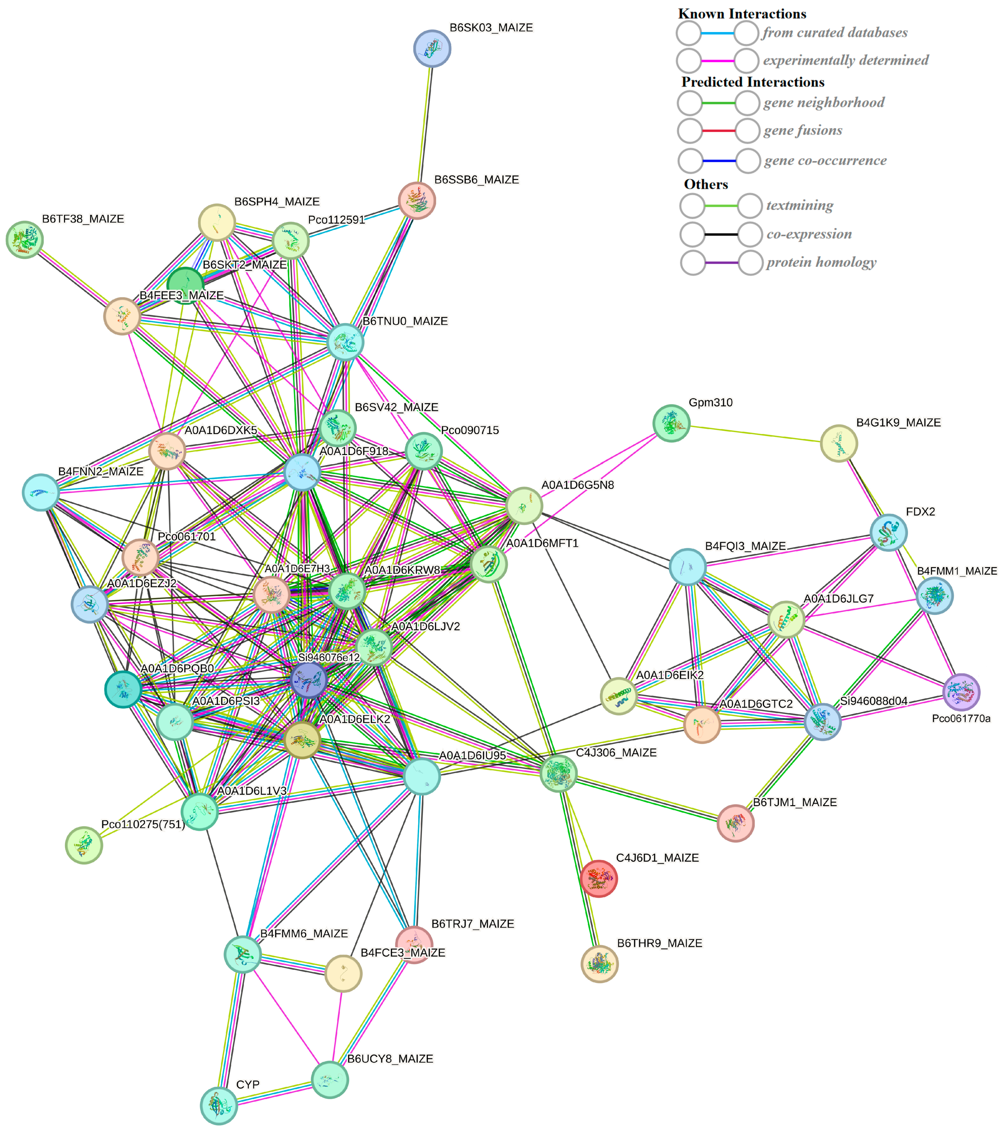 Plants 13 00065 g010