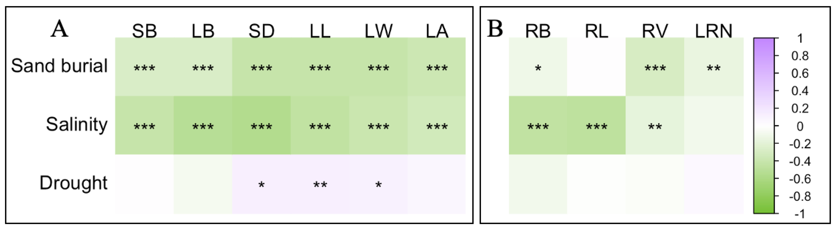 Plants 13 00069 g003