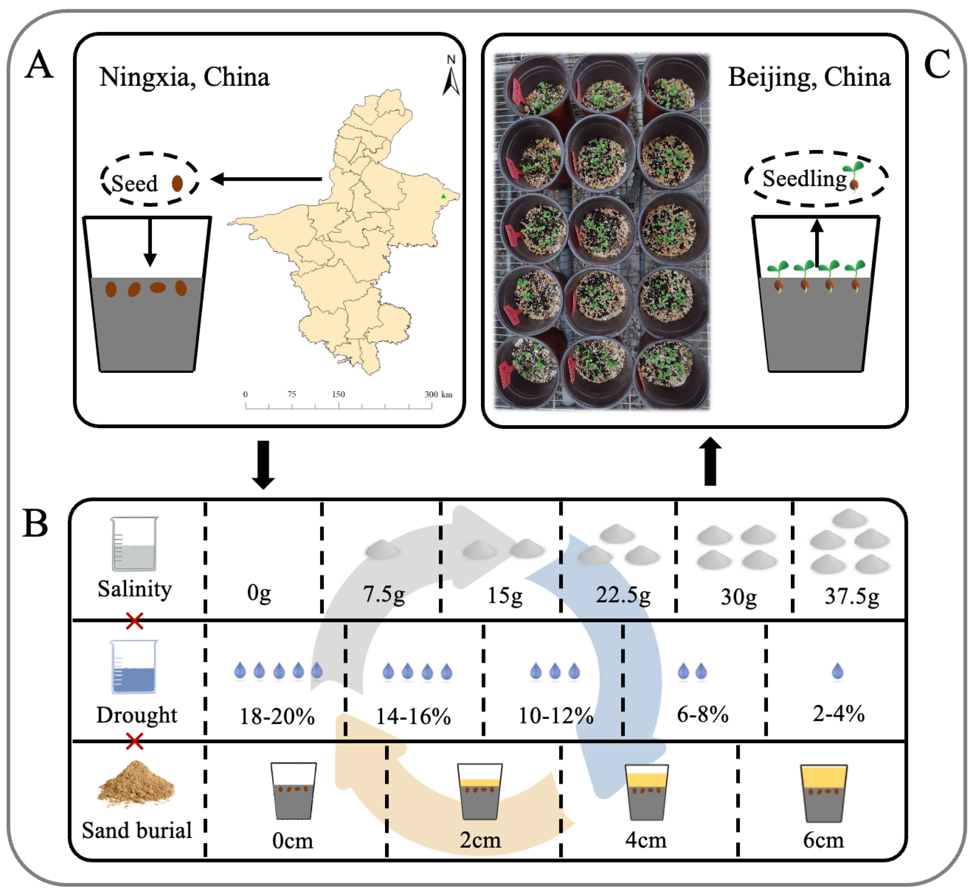 Plants 13 00069 g006