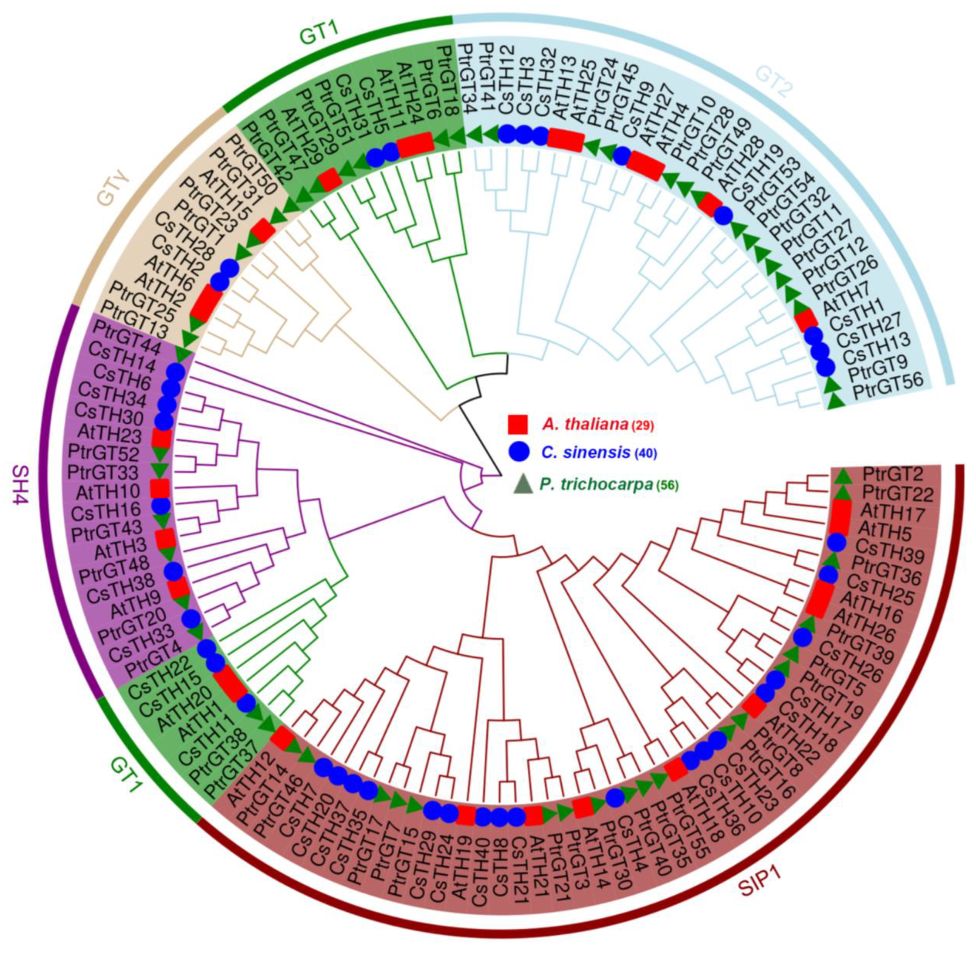 Plants 13 00070 g001