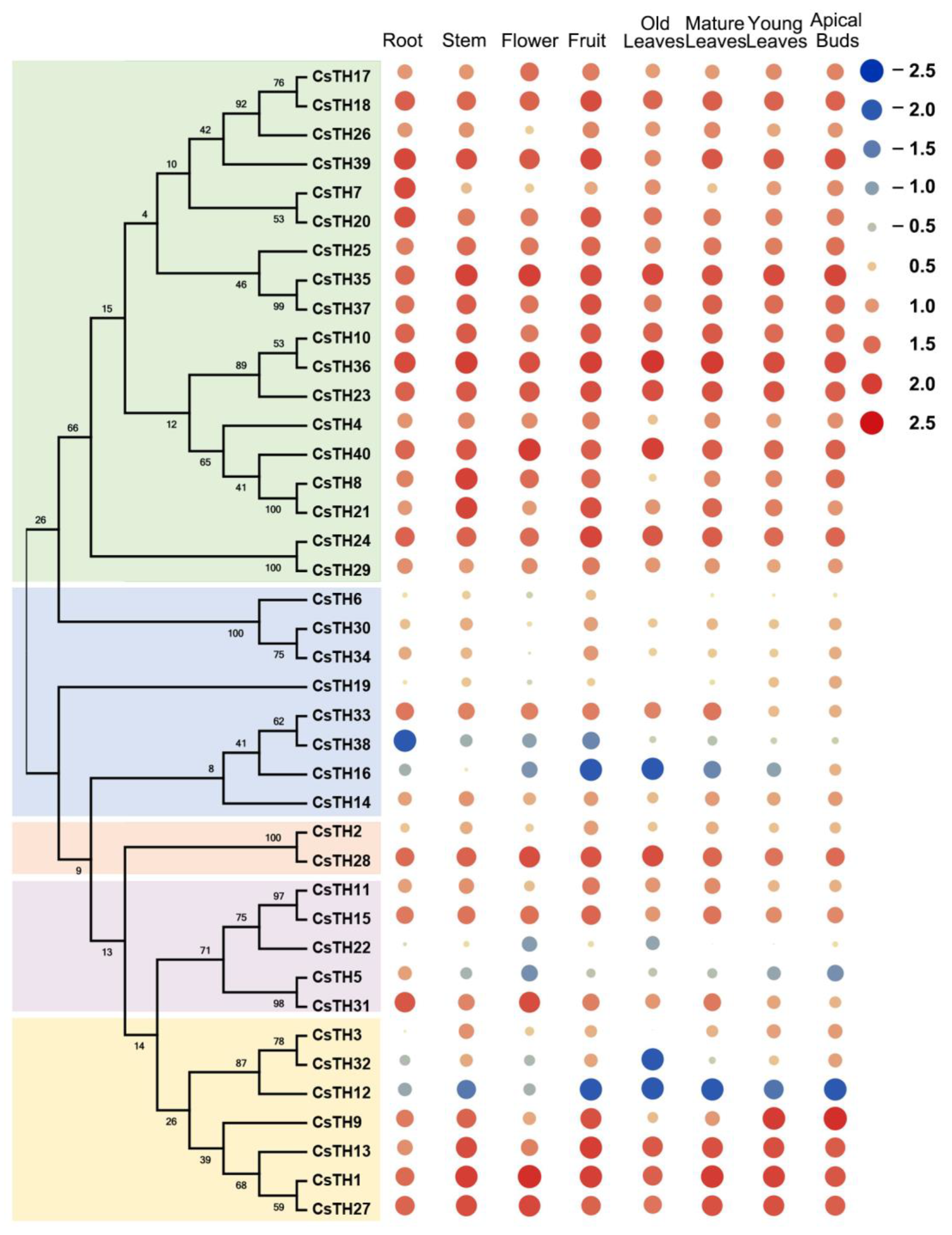 Plants 13 00070 g005