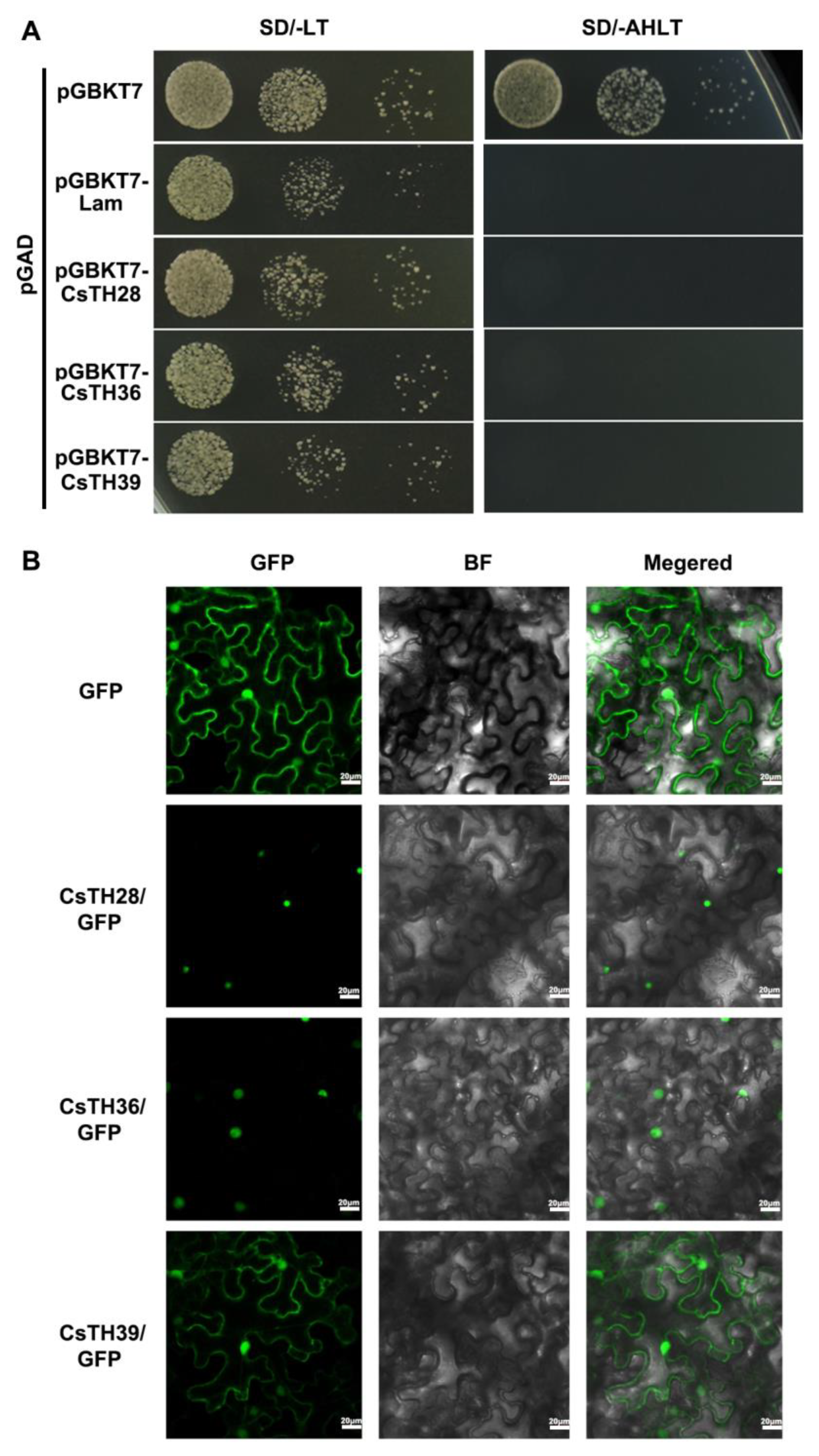 Plants 13 00070 g008