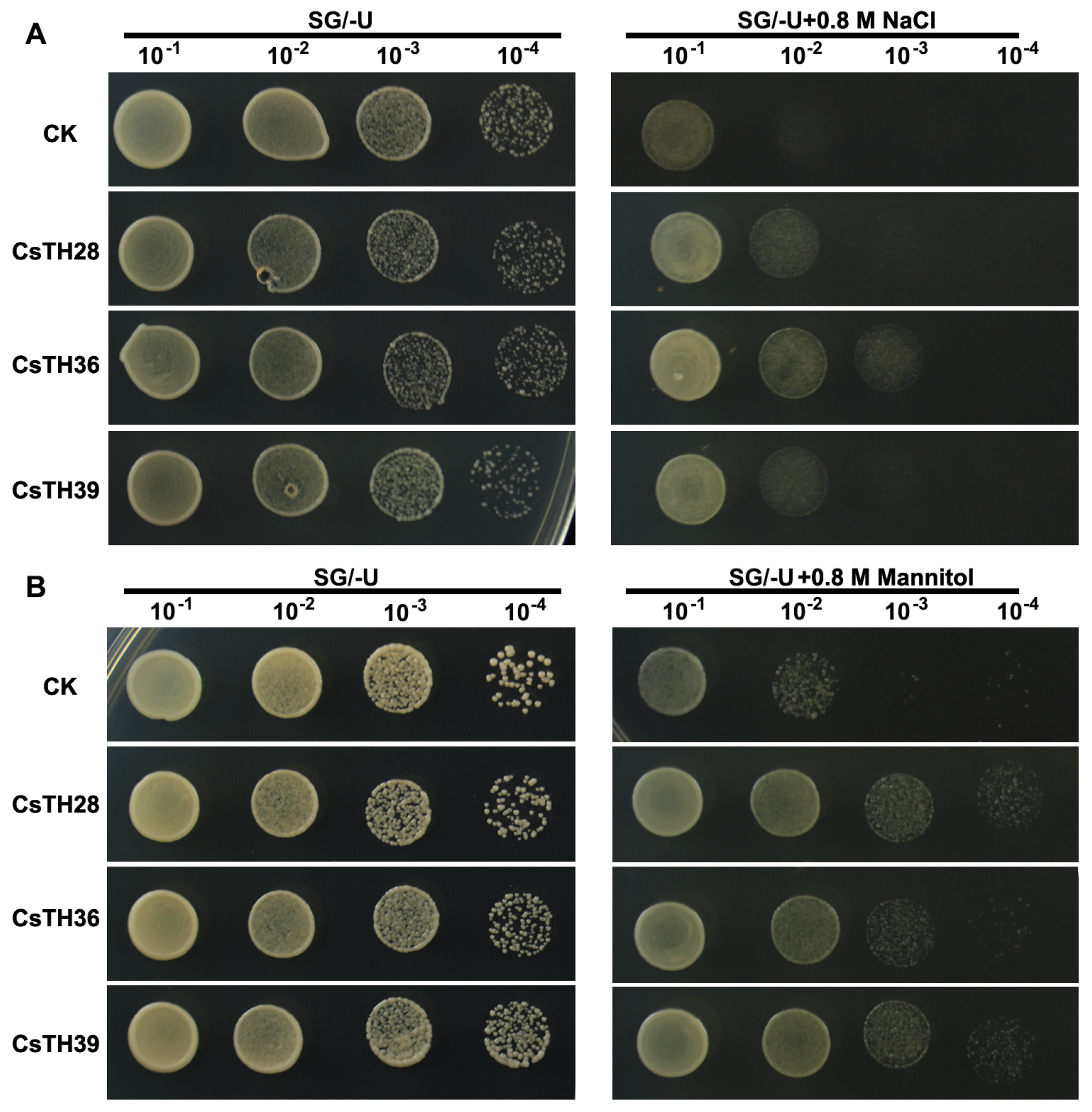Plants 13 00070 g009