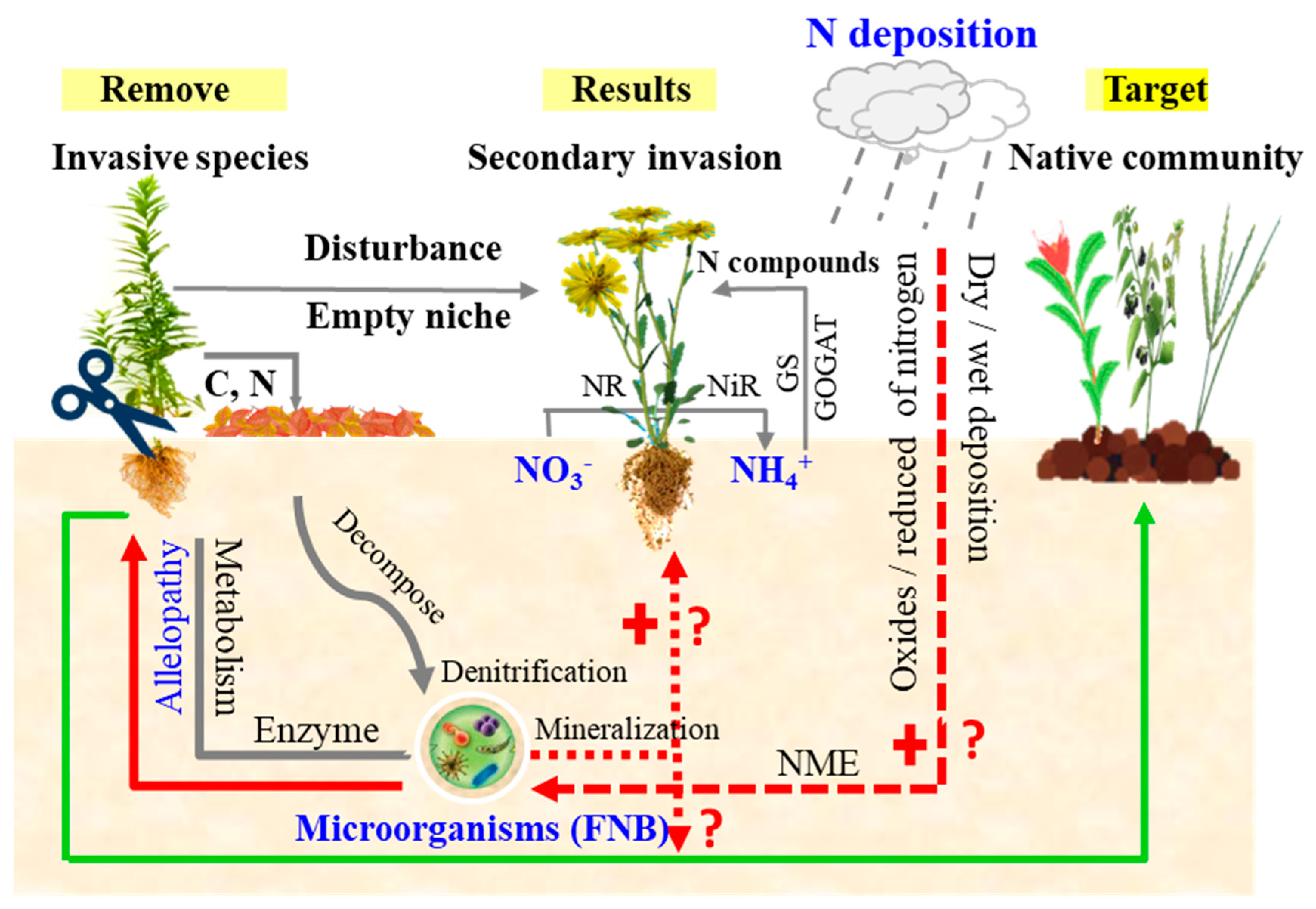 Plants 13 00072 g002