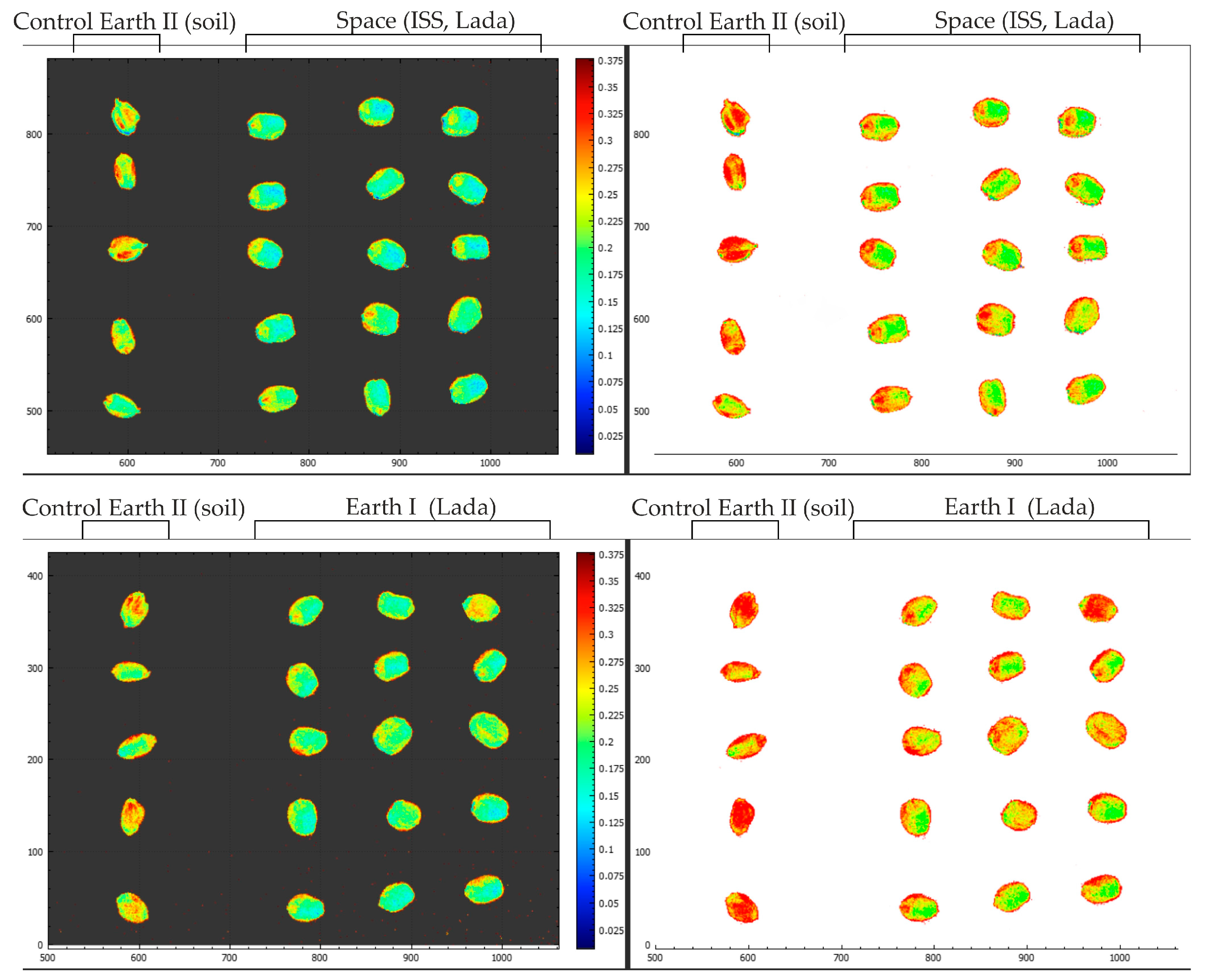 Plants 13 00073 g008