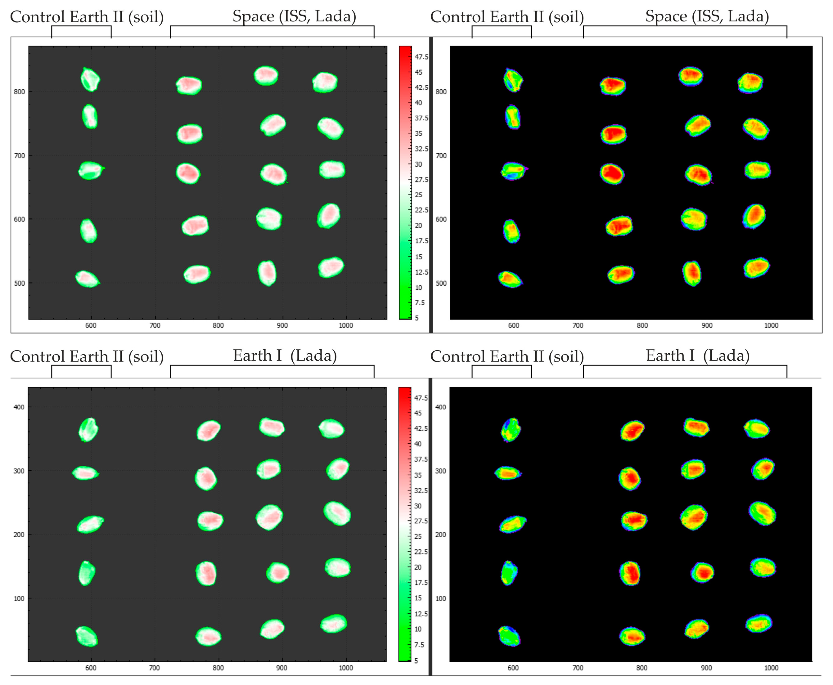 Plants 13 00073 g009